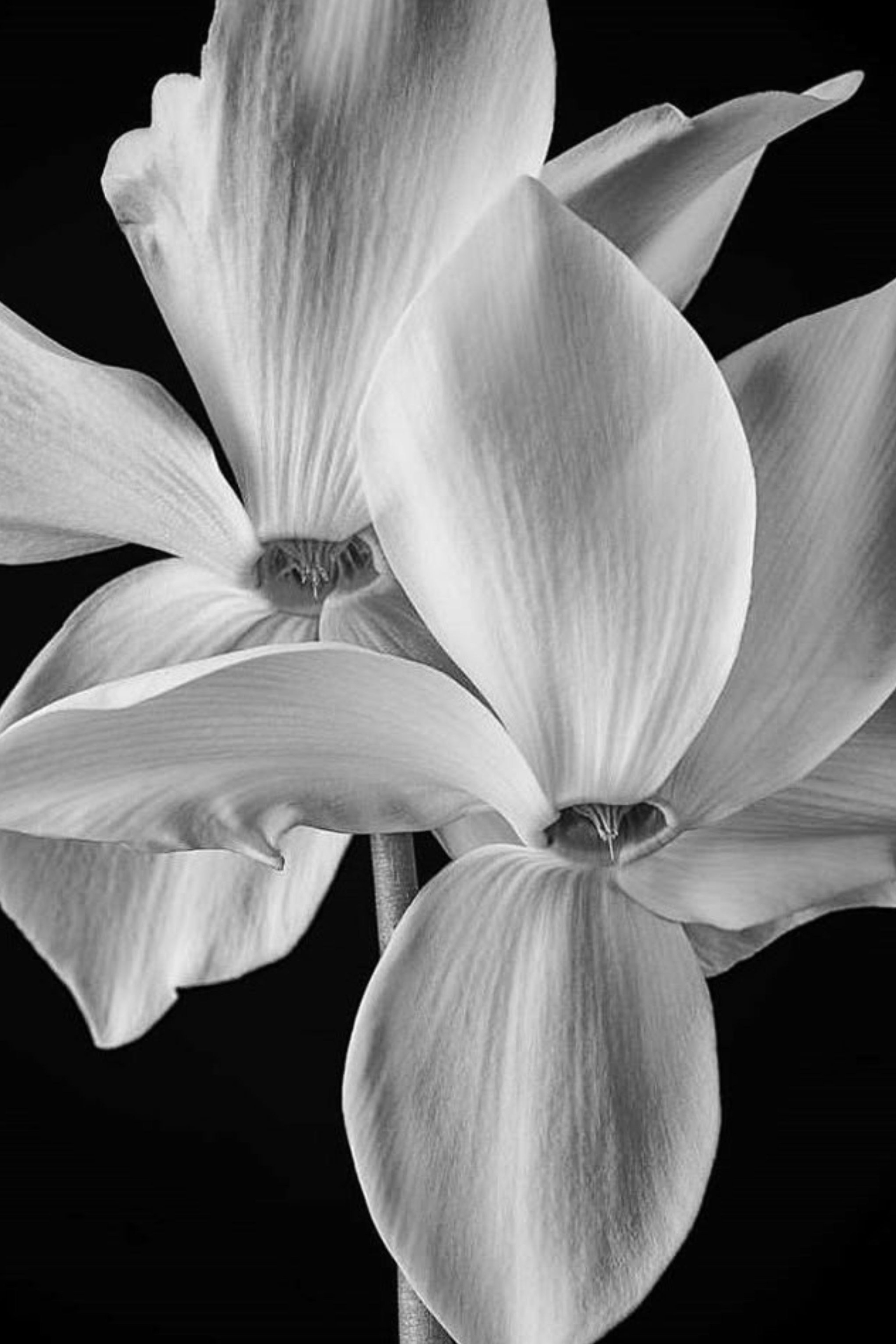 Фотограф в Карелии