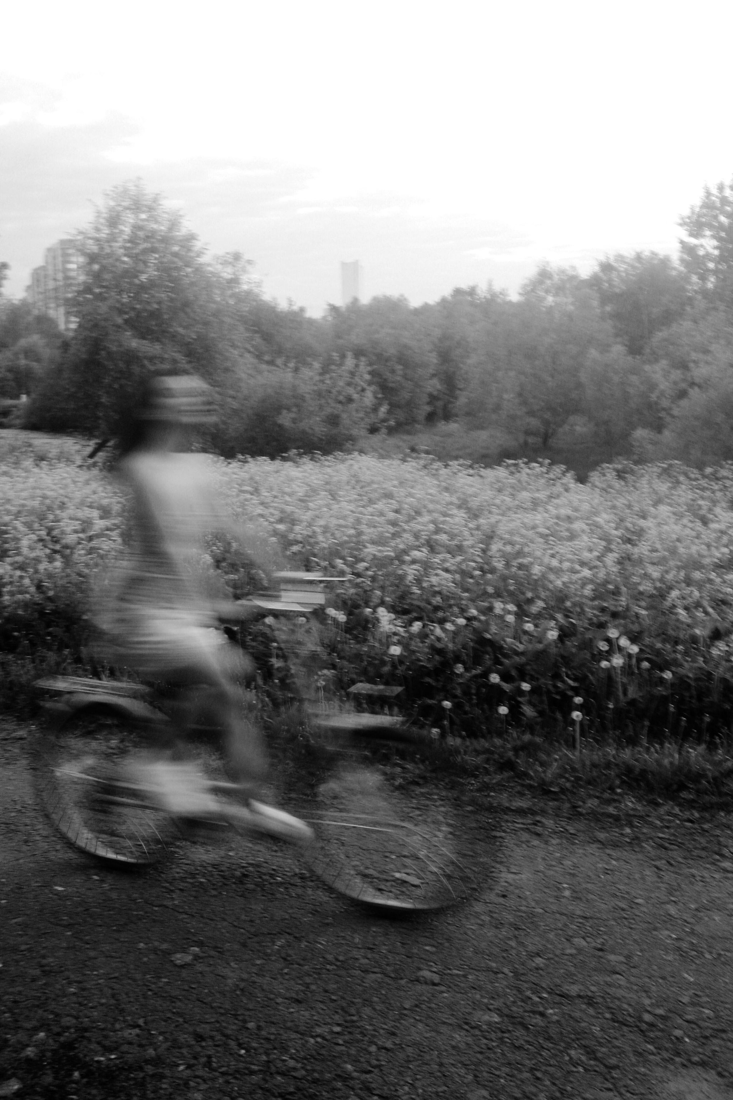 Фотограф в Карелии