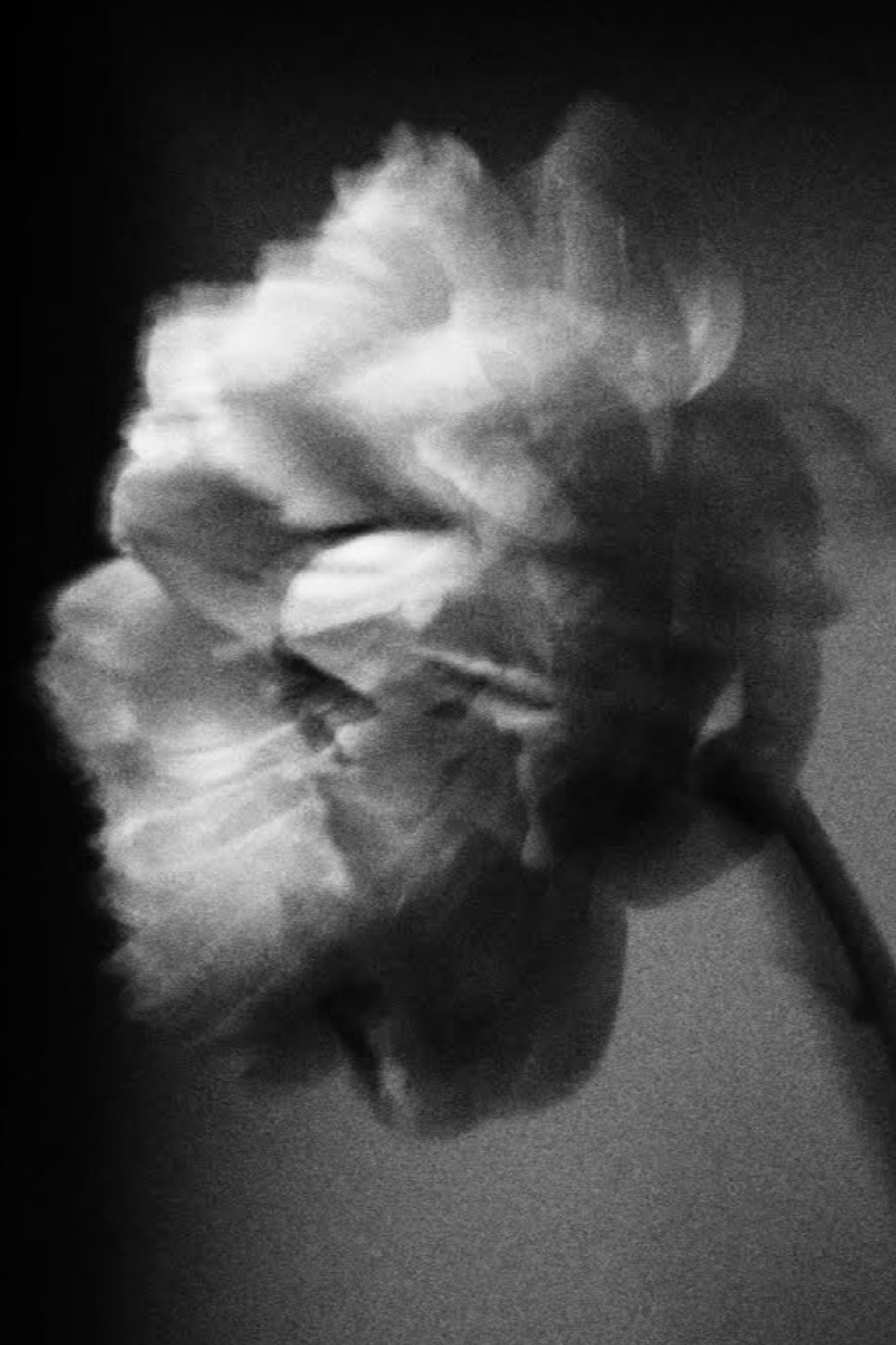 Фотограф в Карелии