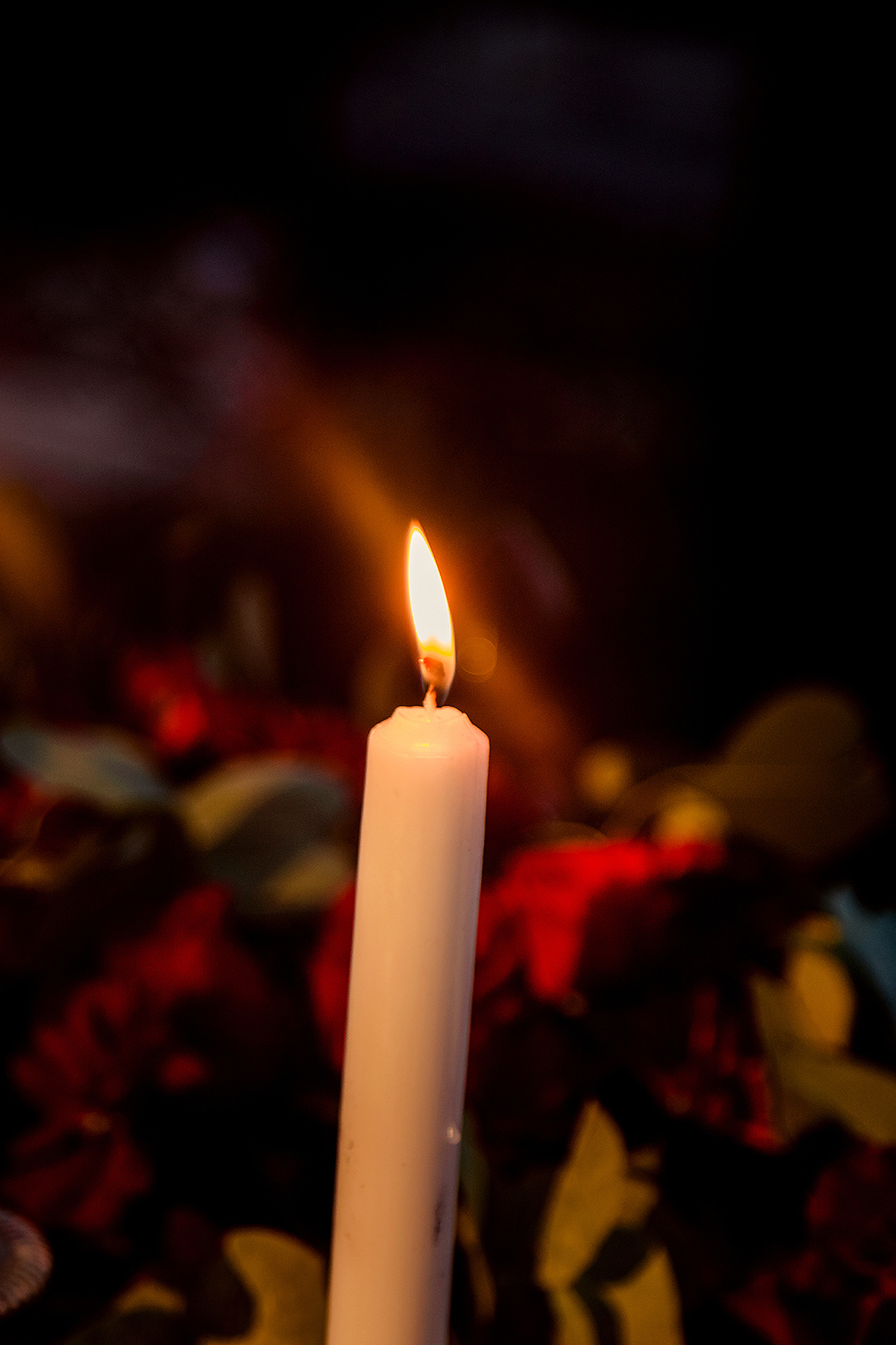 МАКСИМ И АНАСТАСИЯ. СВАДЕБНЫЙ ФОТОГРАФ НАТАЛИКА