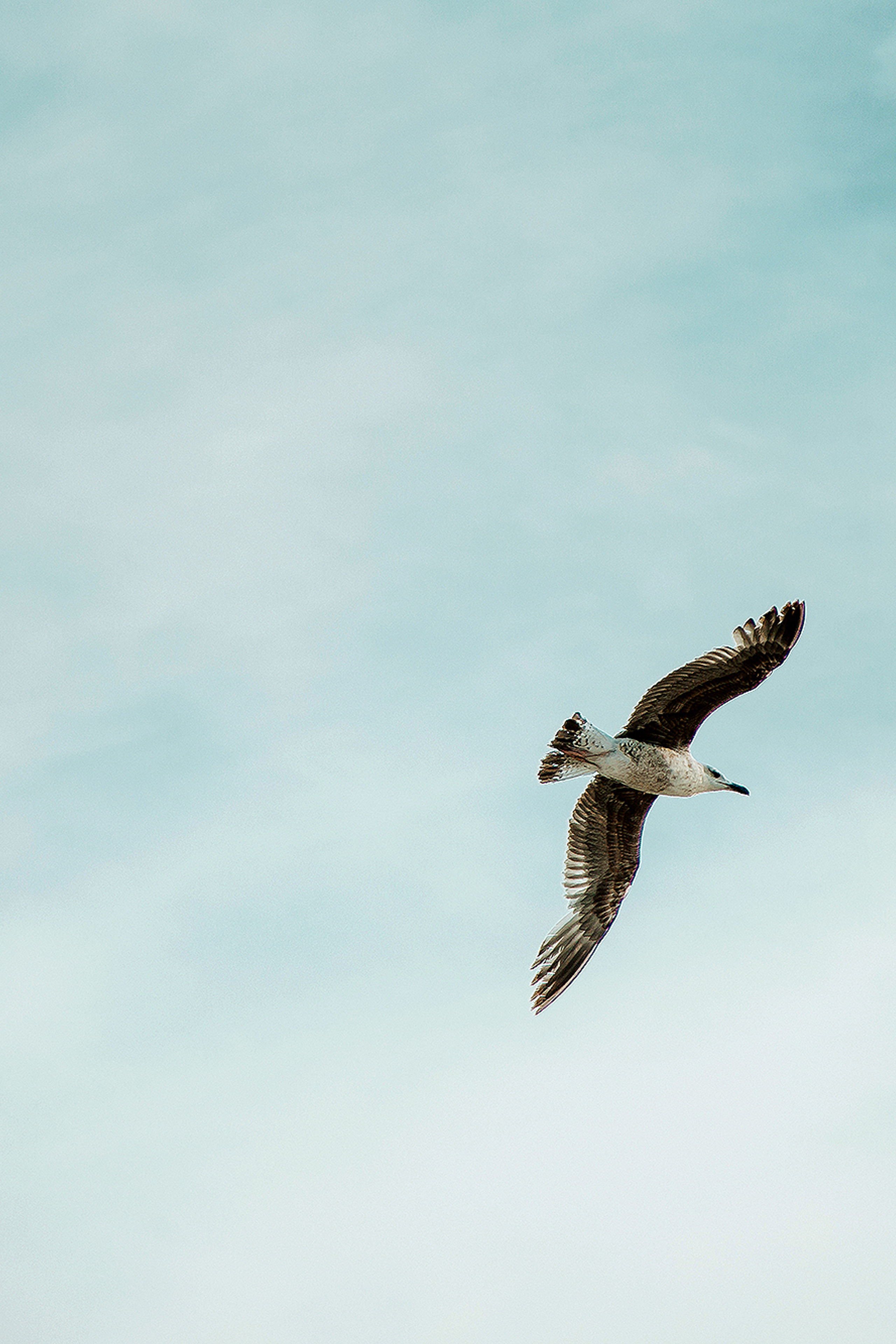 МАРТИН И СНЕЖАННА. СВАДЕБНЫЙ ФОТОГРАФ НАТАЛИКА