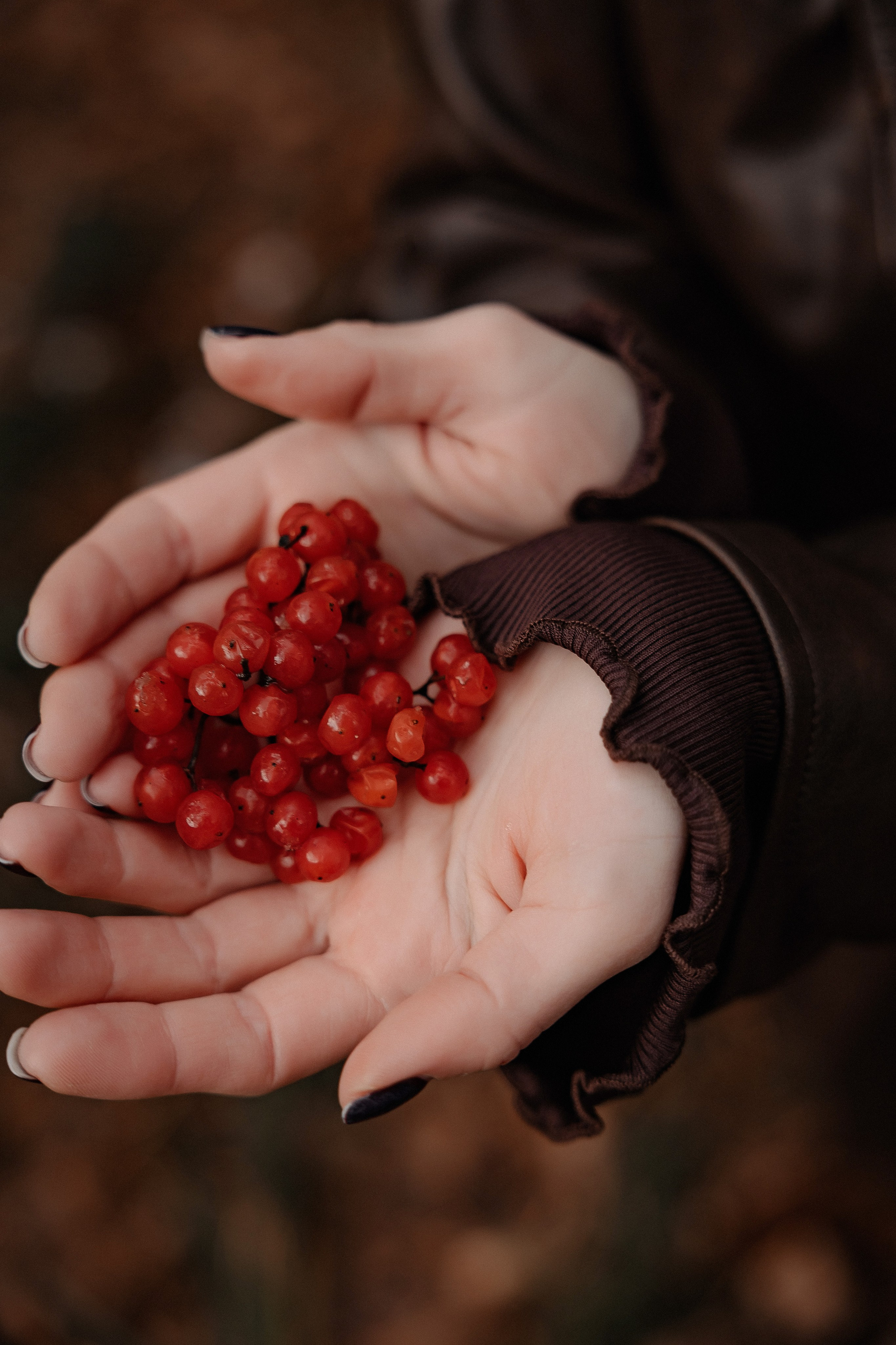 Осень. СВАДЕБНЫЙ ФОТОГРАФ НАТАЛИКА