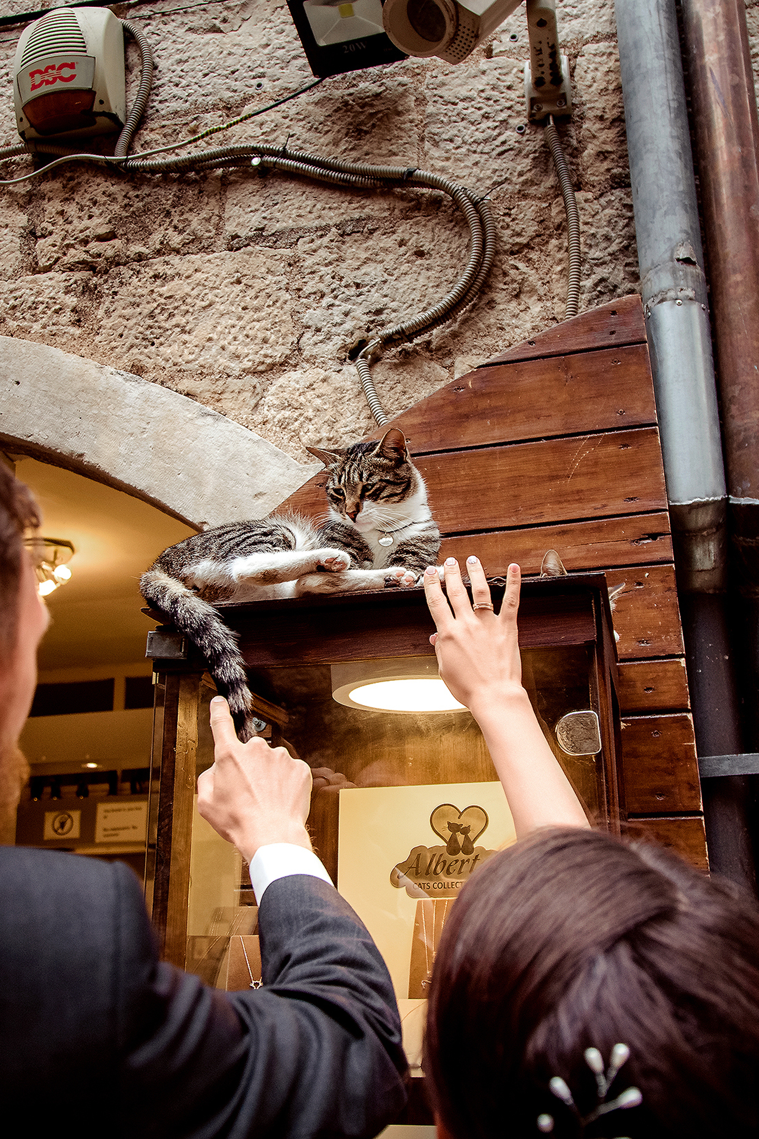 МАКСИМ И АНАСТАСИЯ. СВАДЕБНЫЙ ФОТОГРАФ НАТАЛИКА