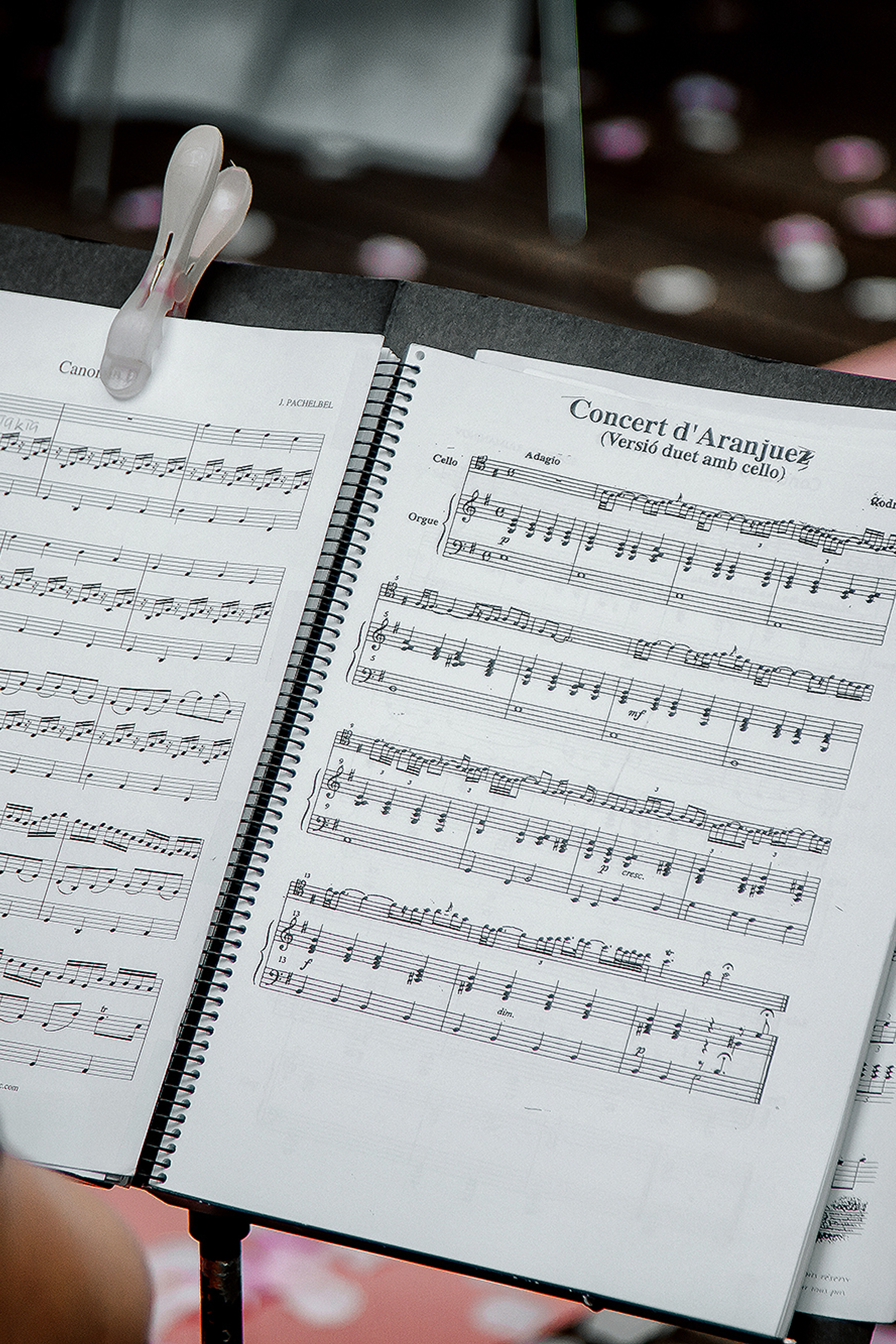 АНИТА И МАРСЕЛЬ. СВАДЕБНЫЙ ФОТОГРАФ НАТАЛИКА