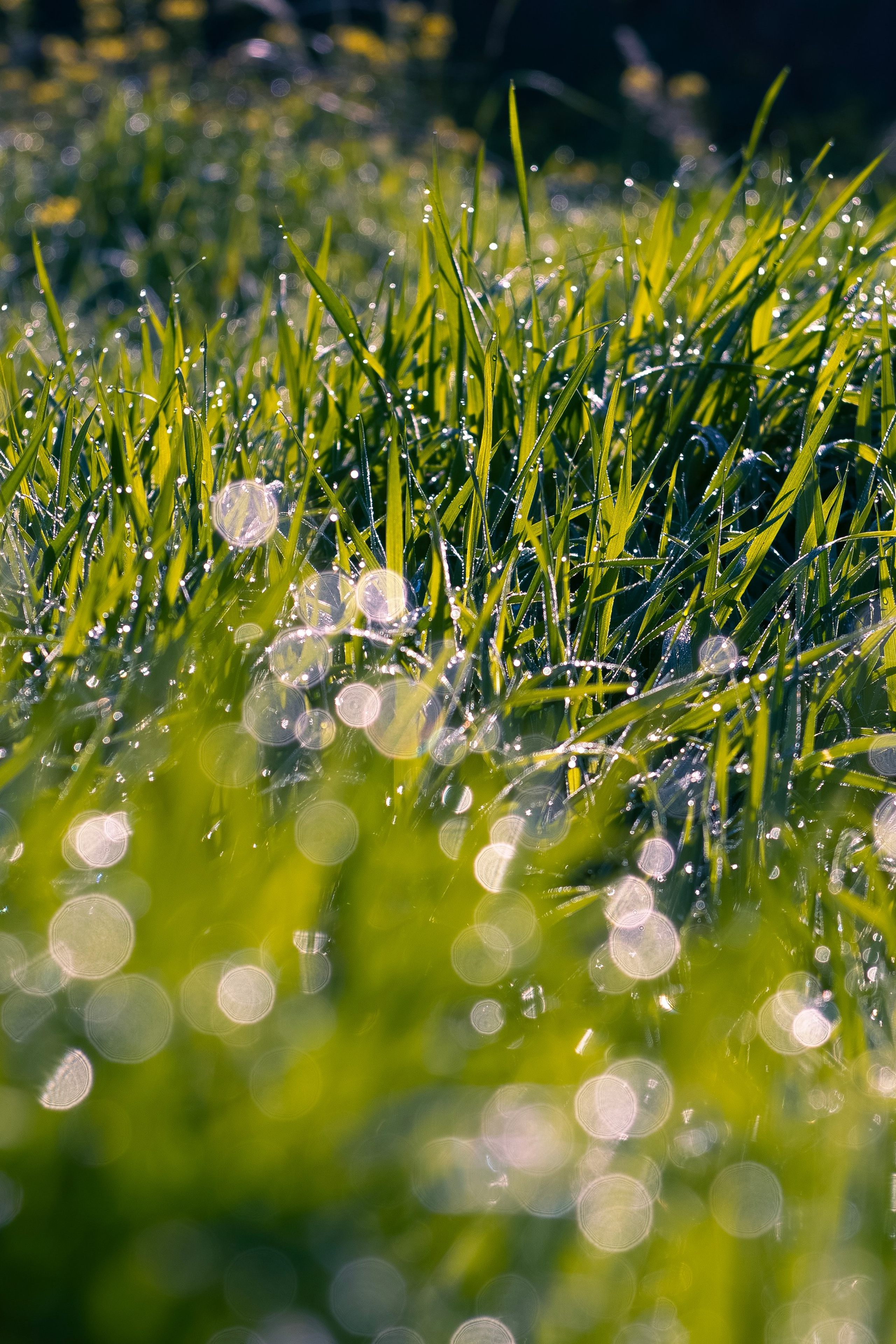 Моими глазами. Предметный фотограф и ретушер Улан-Удэ Алла Белова