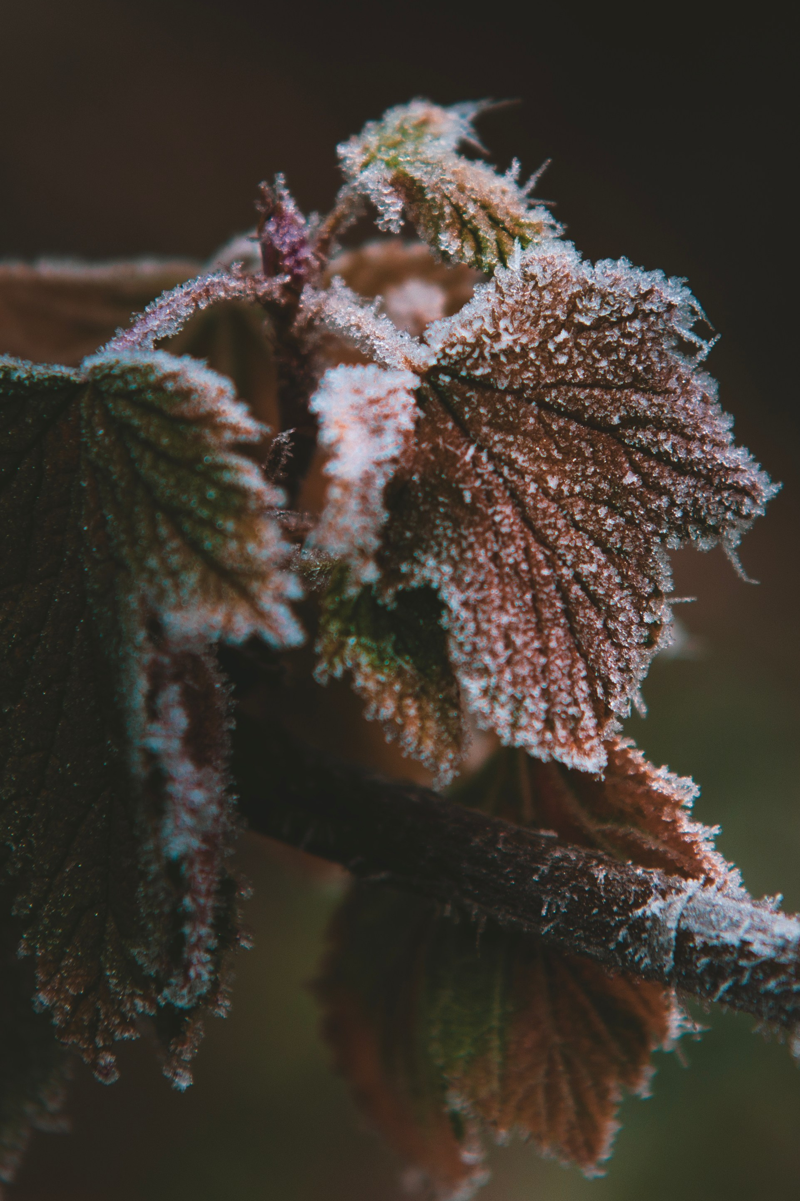 Моими глазами. Профессиональная High-End Ретушь | Ретушер и предметный фотограф Алла Белова