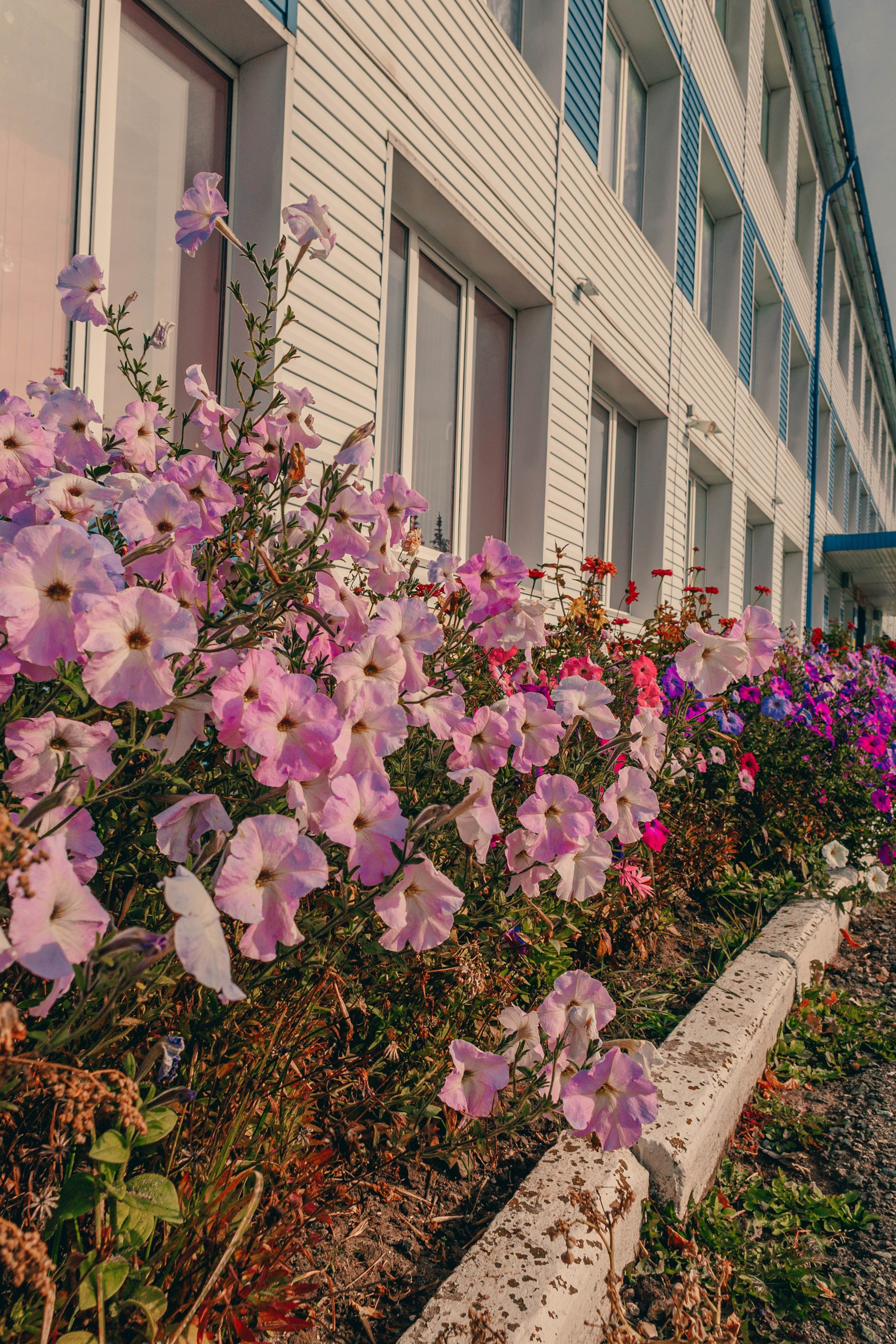 Истории. Фотограф г. Чебоксары Николай Фадеев
