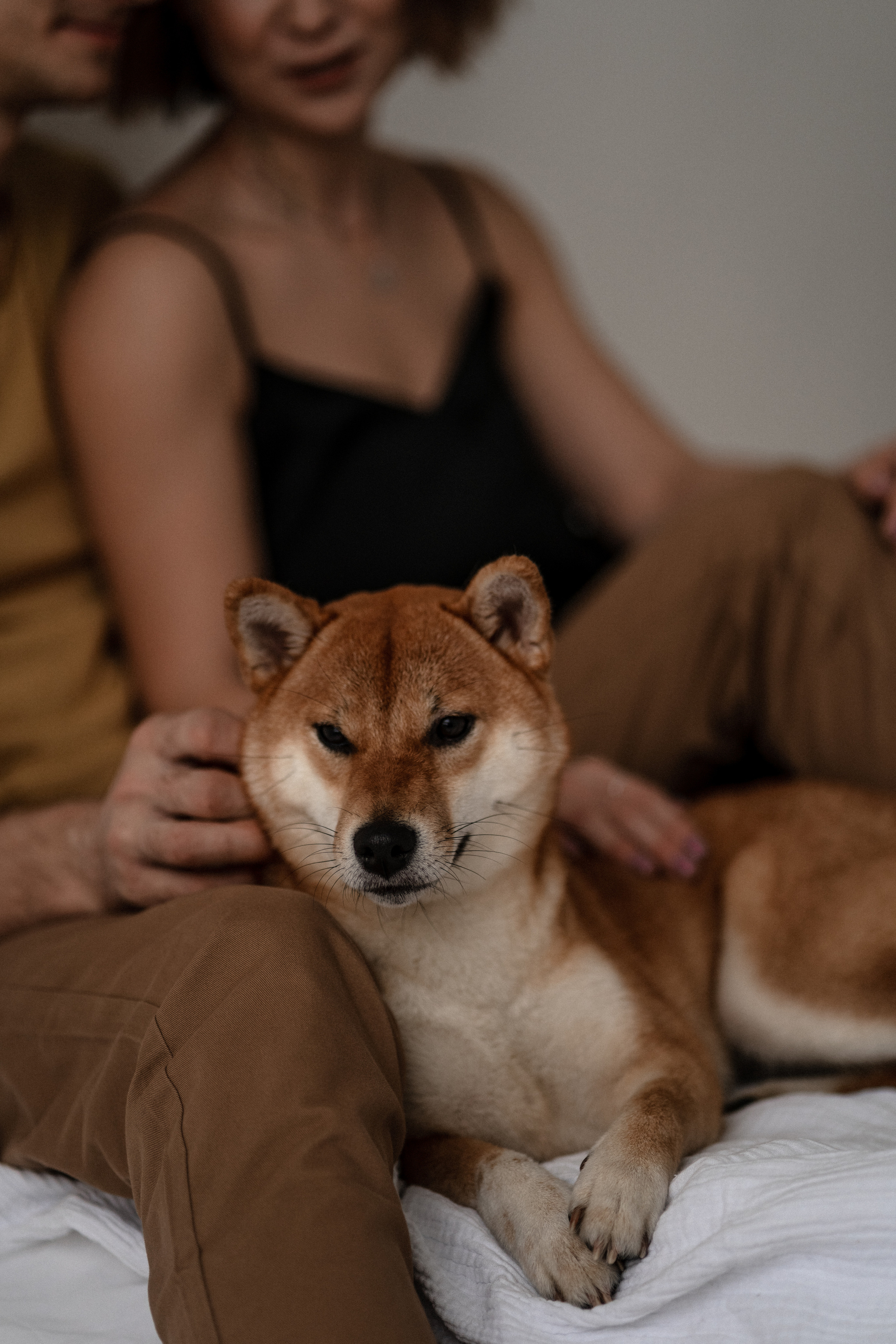 Отзывы. Анастасия Кузнецова — фотограф в Санкт-Петербурге