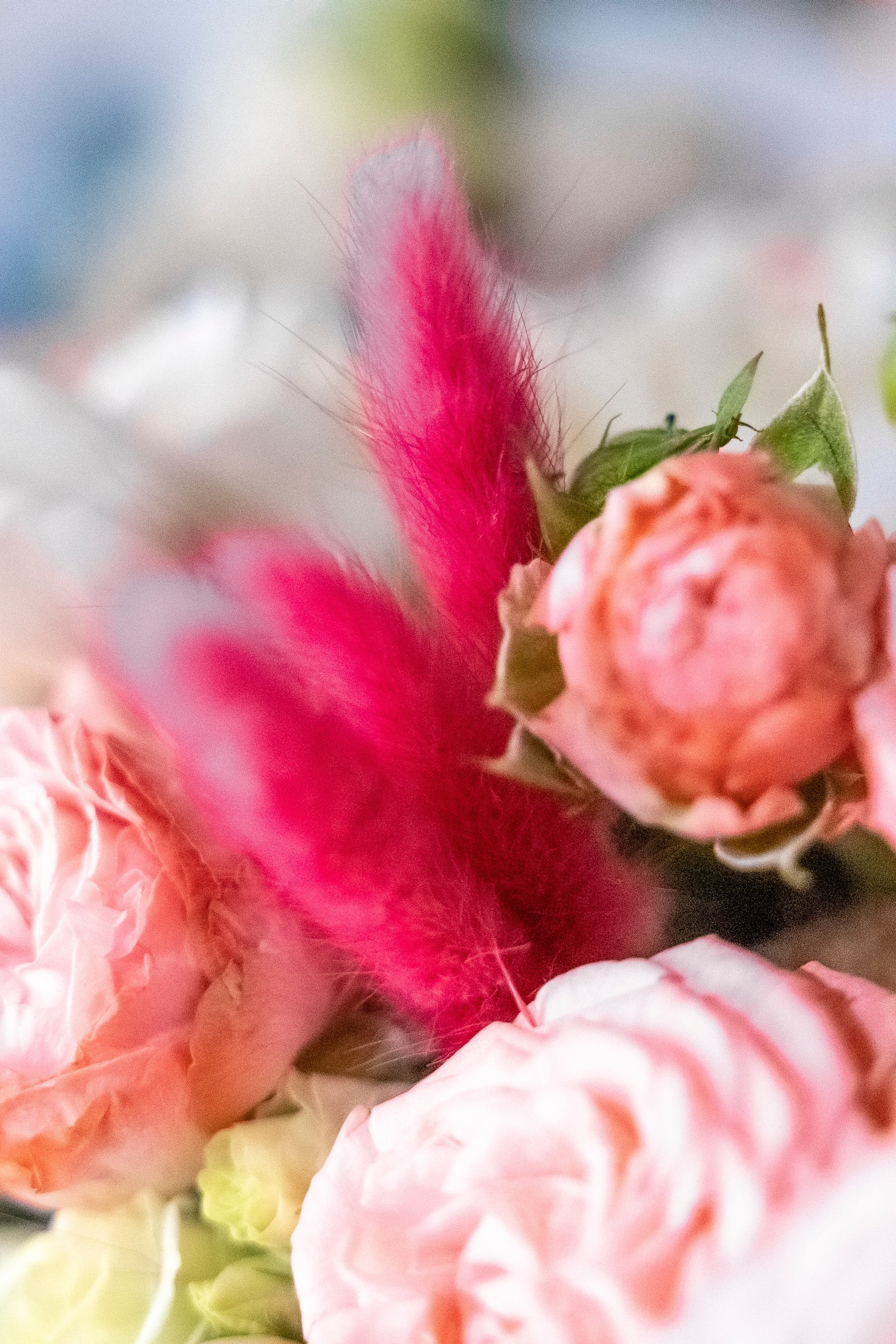 Flower Art | Цветочный арт