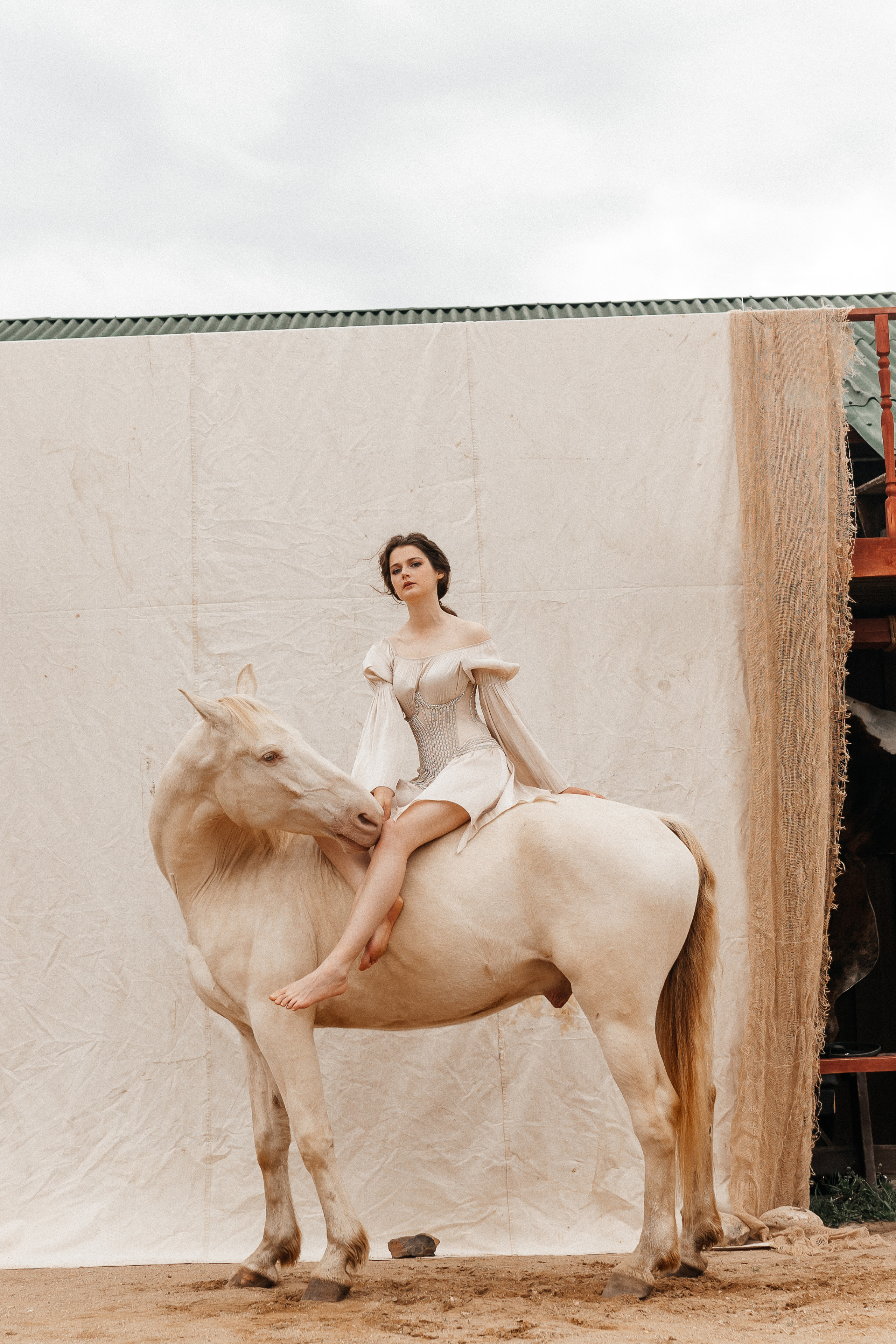 Елена (съемка с конями)