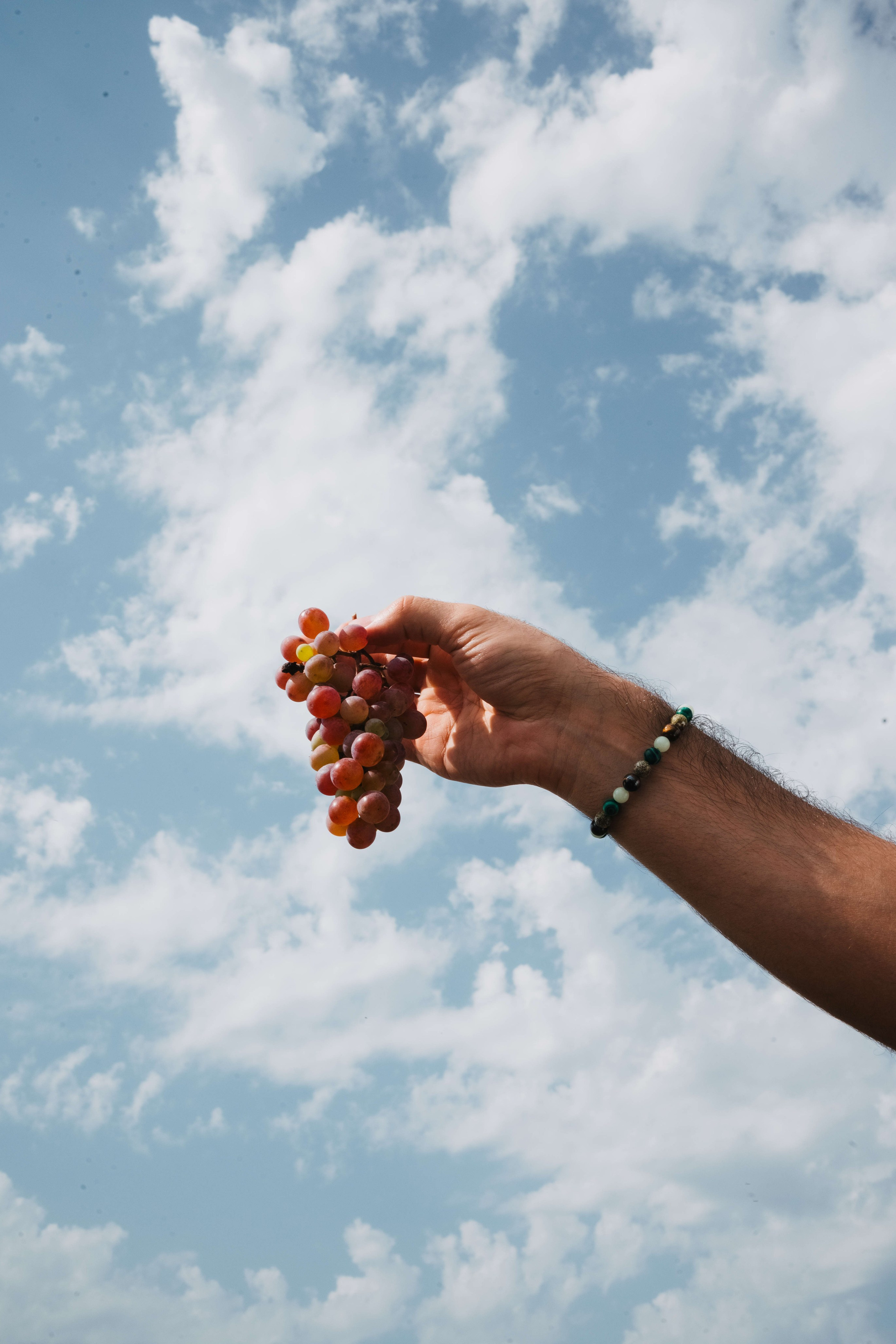 Съемка для винодельни Bakurtsokheli