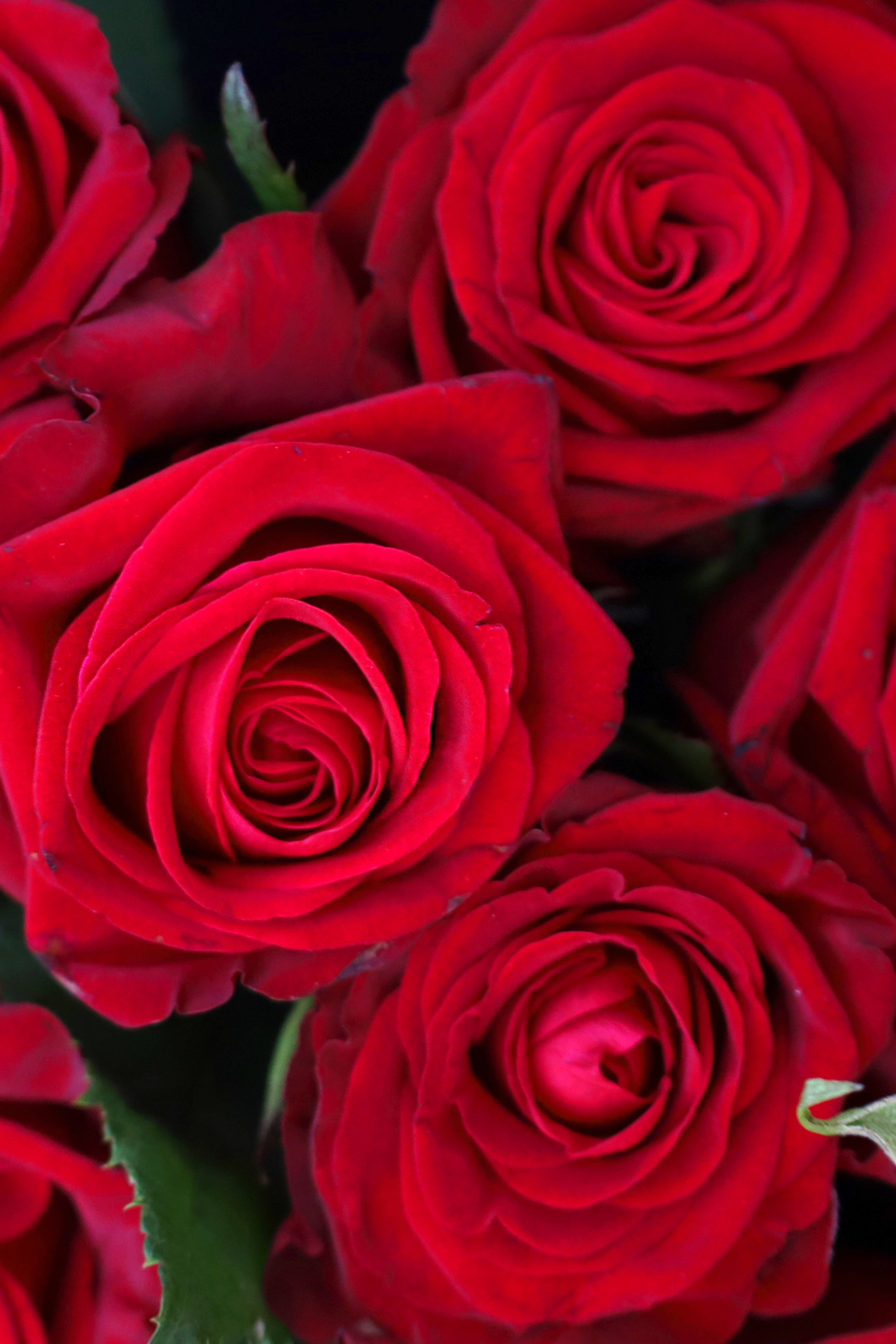 Истории. Фотограф Саратов | Елизавета Белова