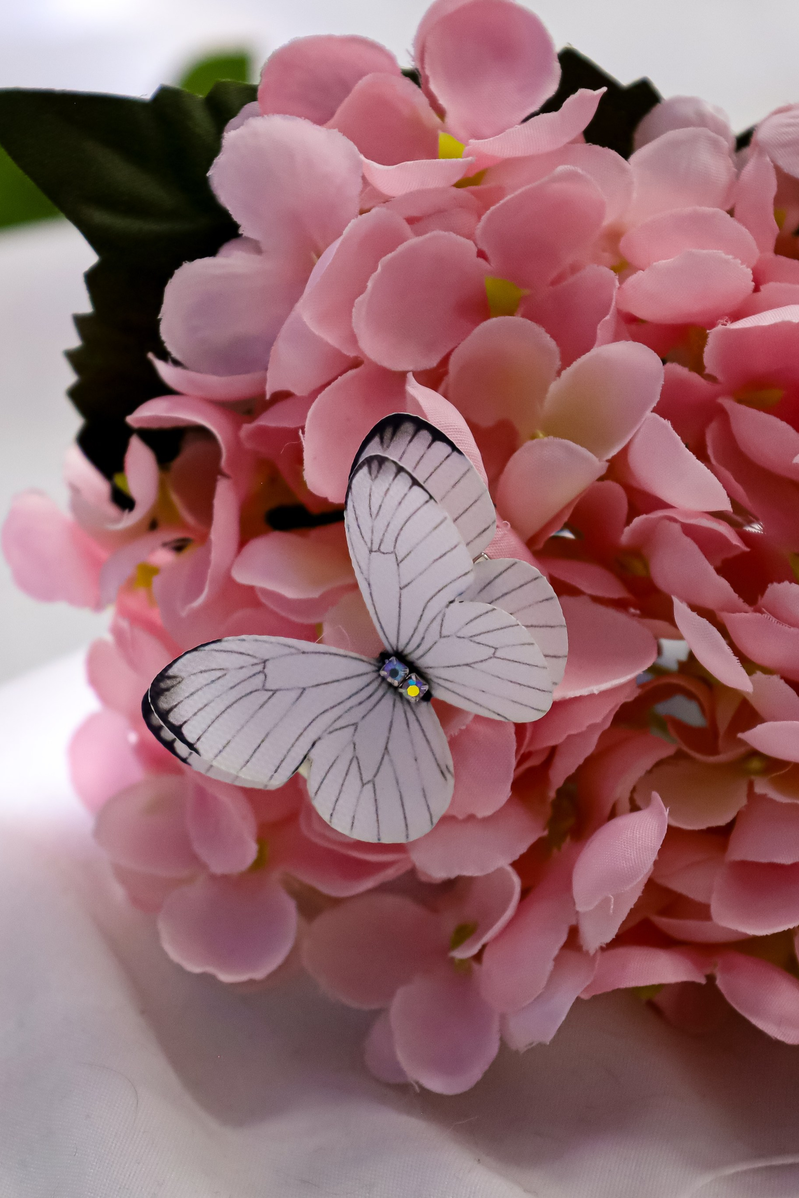 Фотограф Саратов | Елизавета Белова