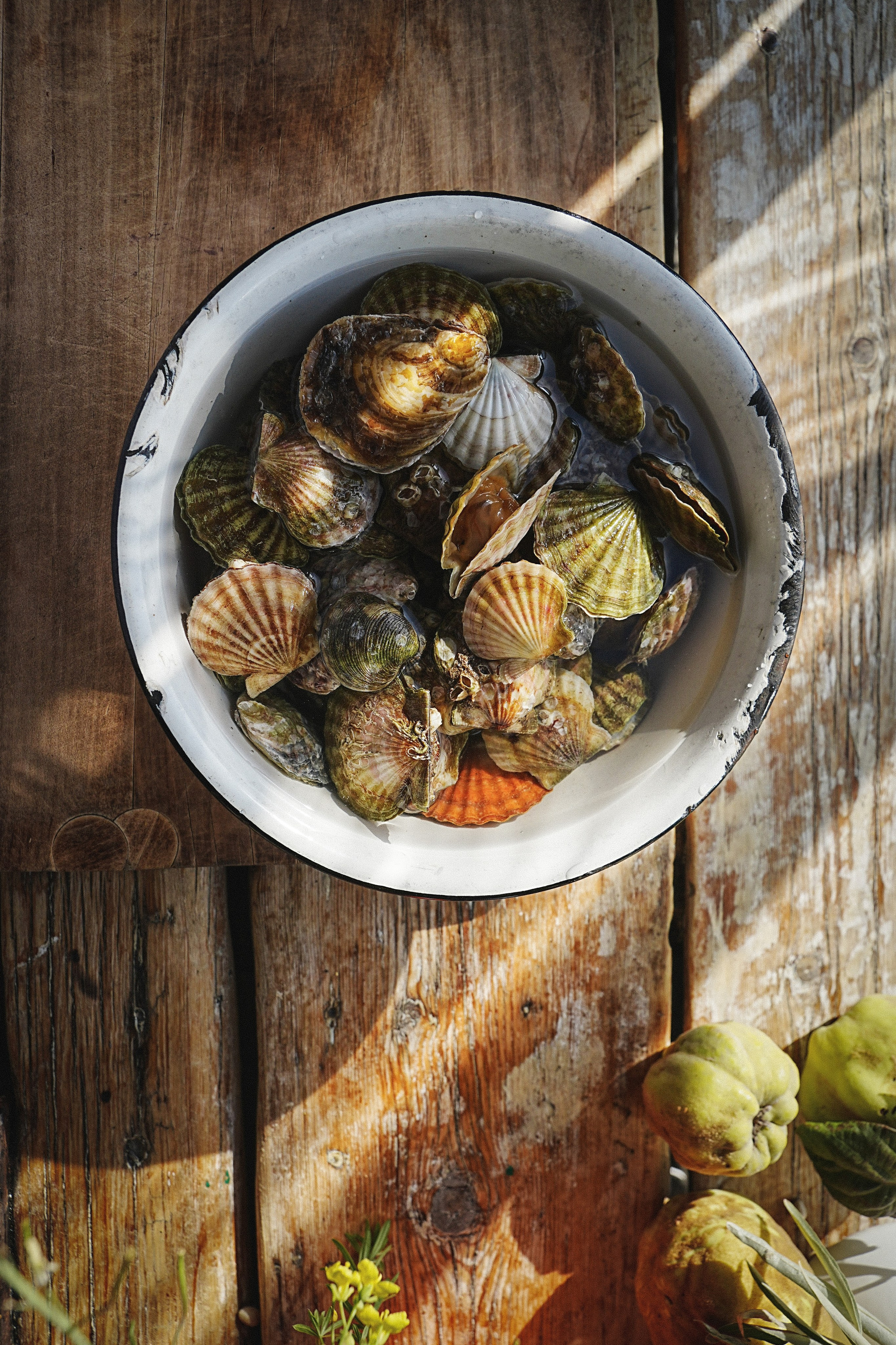 Истории. Фотограф в Крыму Алевтина Швец