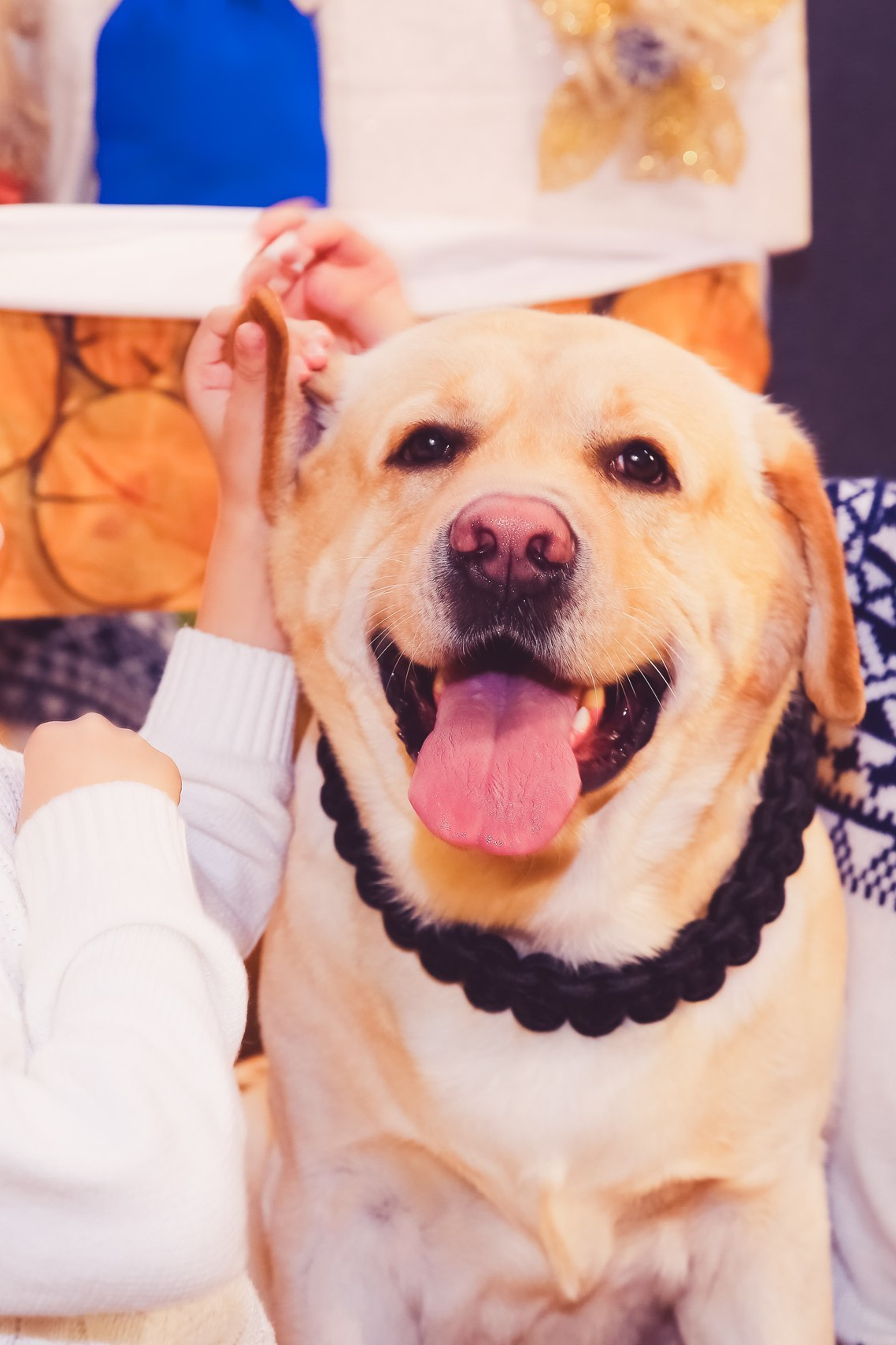 Детская фотосессия. Профессиональный фотограф. Работаю в Улан-Удэ, Новосибирске и др