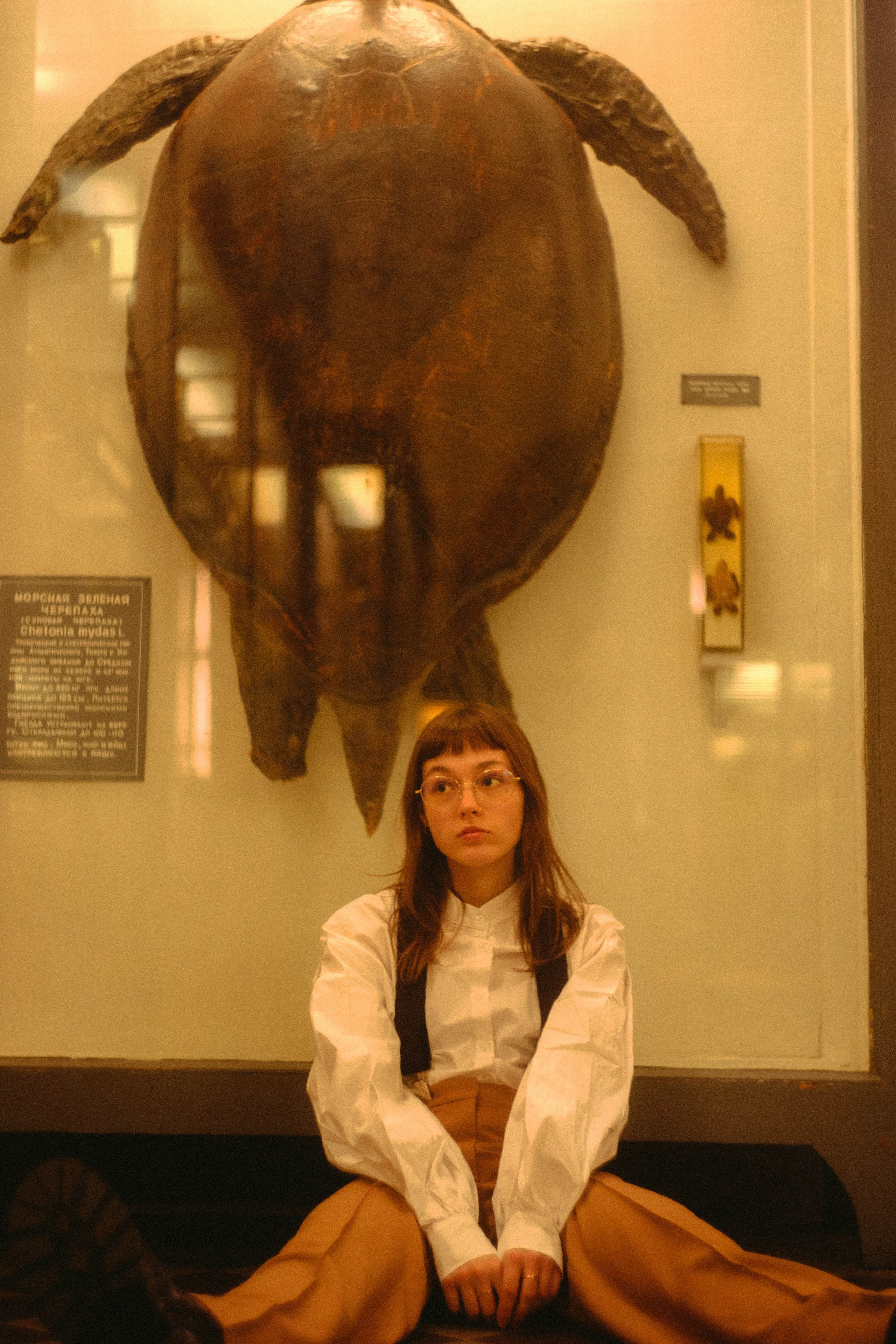 Анастасия. Анастасия Сусь | Портретный фотограф