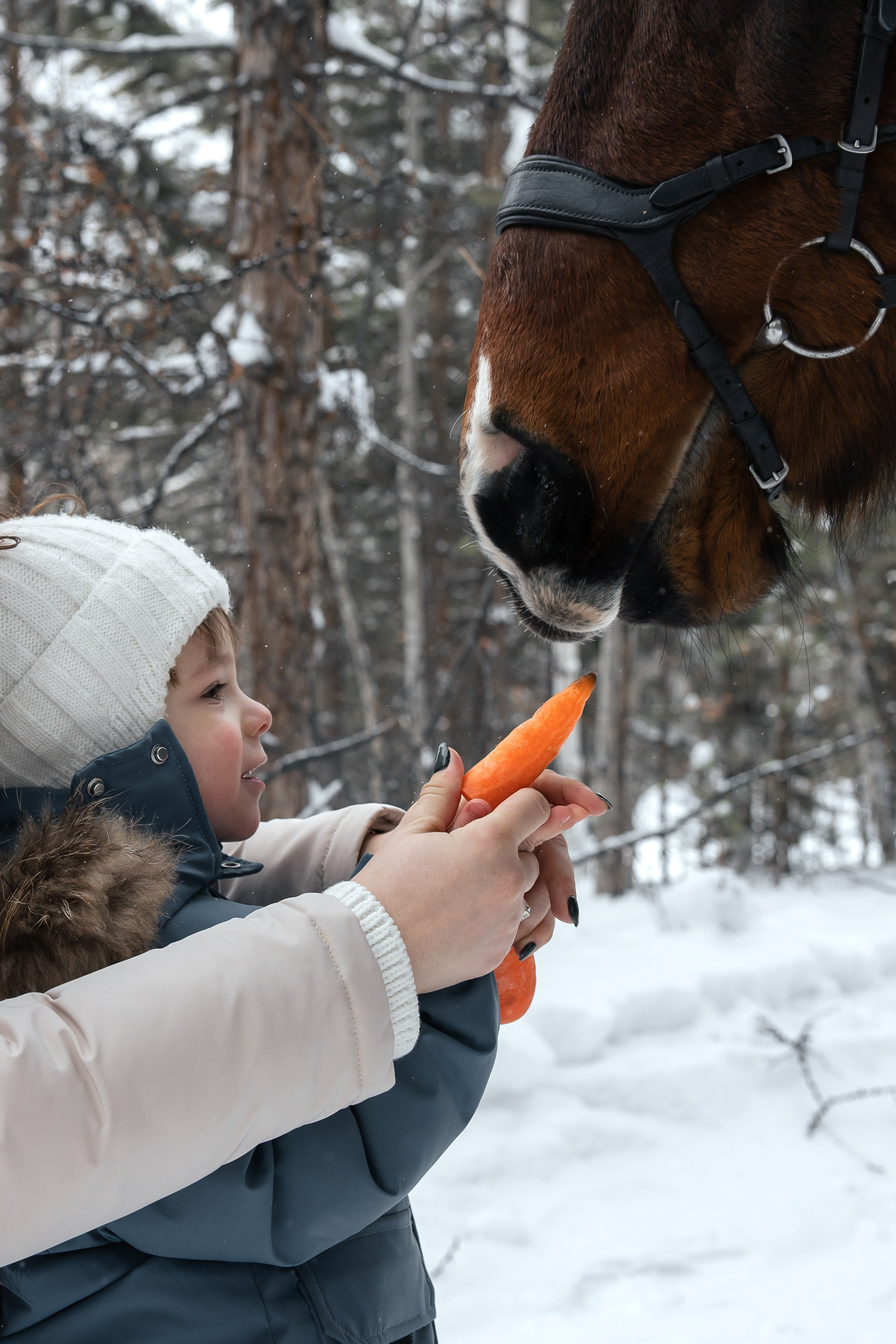 Отзывы. Фотограф Братск