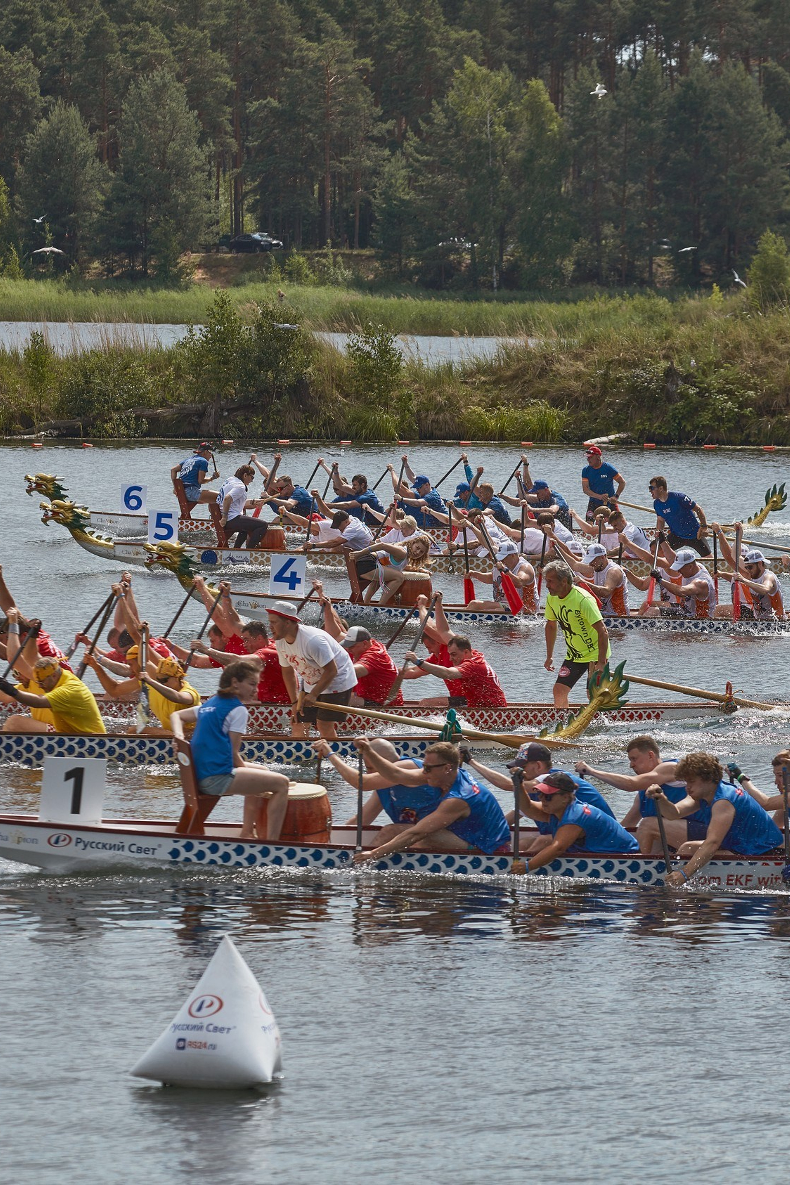 Кубок русского света и электриков по гребле на лодках класса «Дракон»