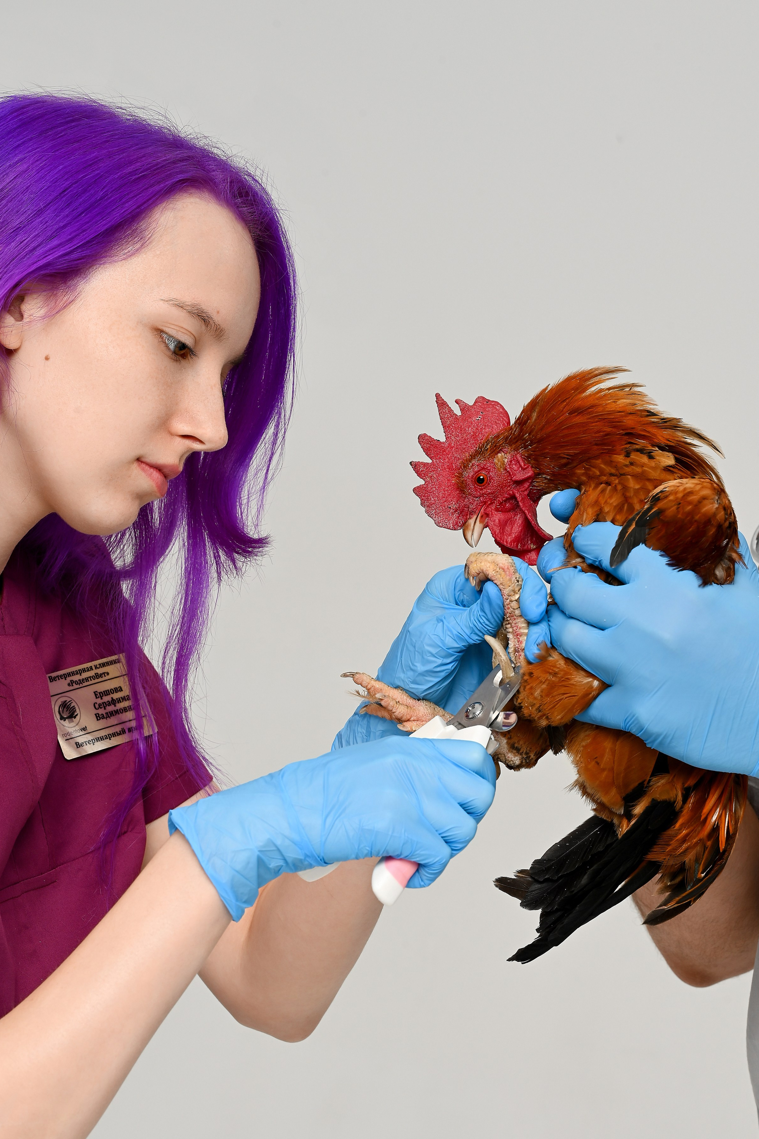 Контент для брендов, экспертов и бьюти мастеров. Предметный контент — фотограф в Саратове Юлия