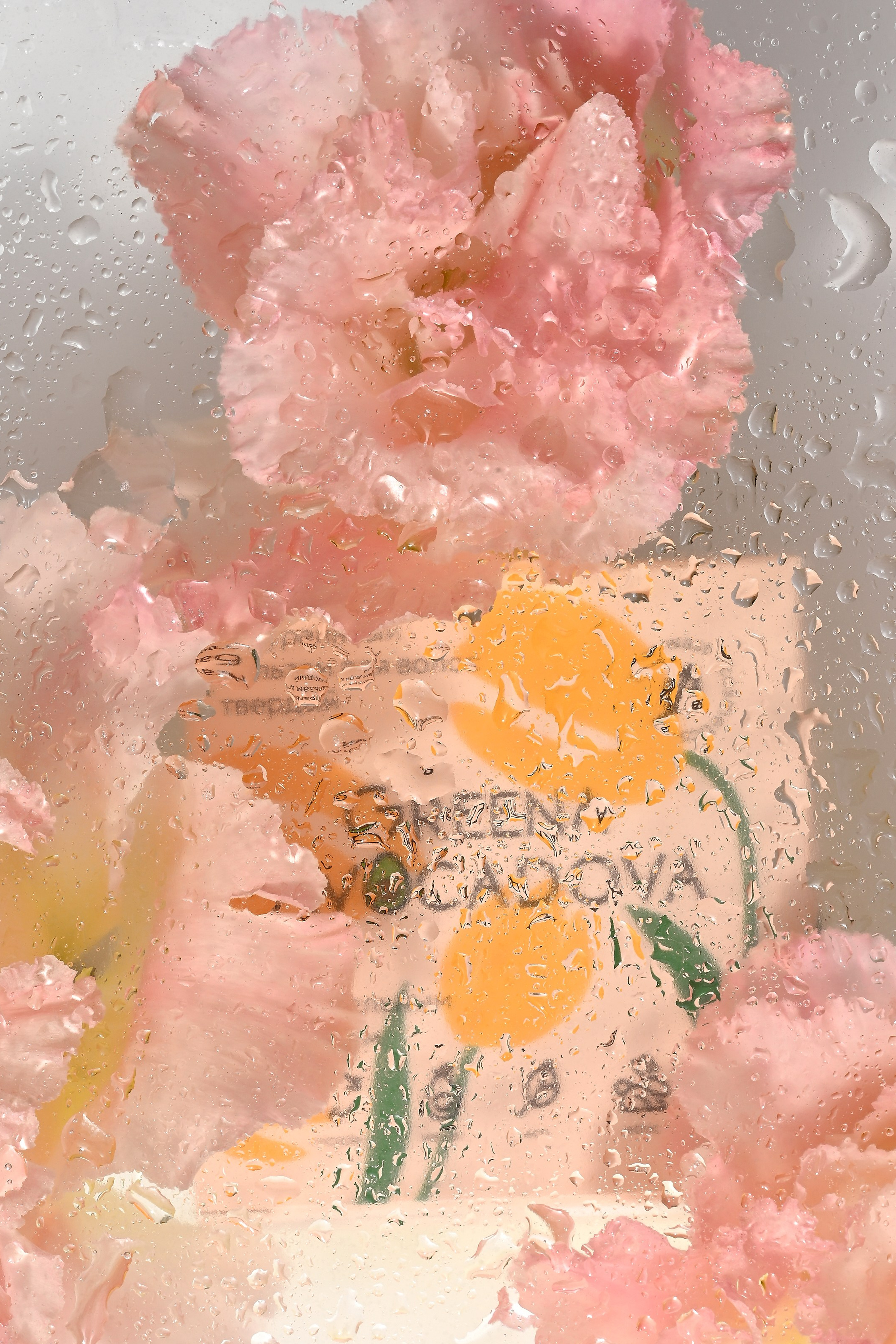 Уходовая и декоративная косметика. Предметный контент — фотограф в Саратове Юлия