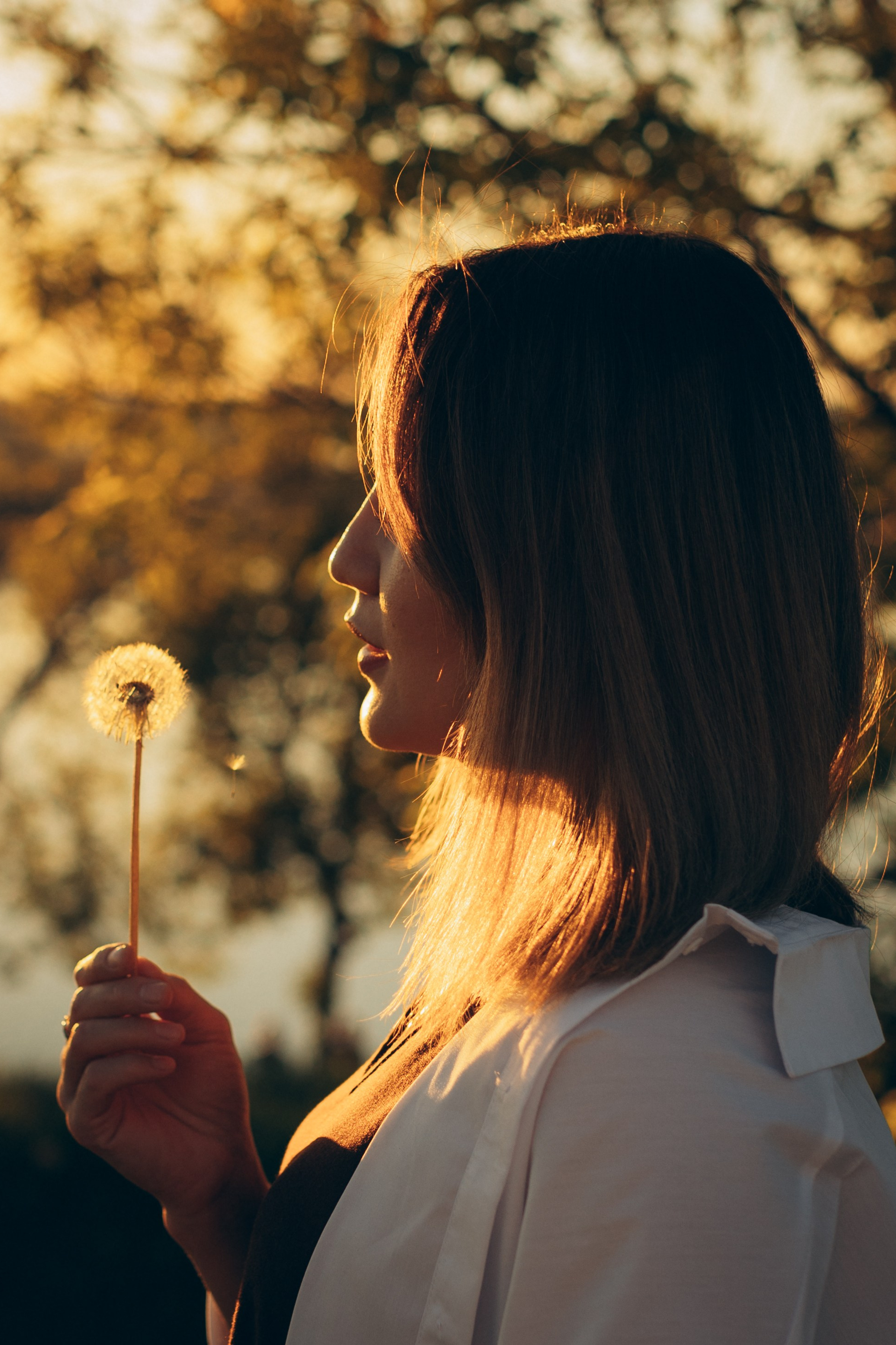 Одним теплым весенним вечером…