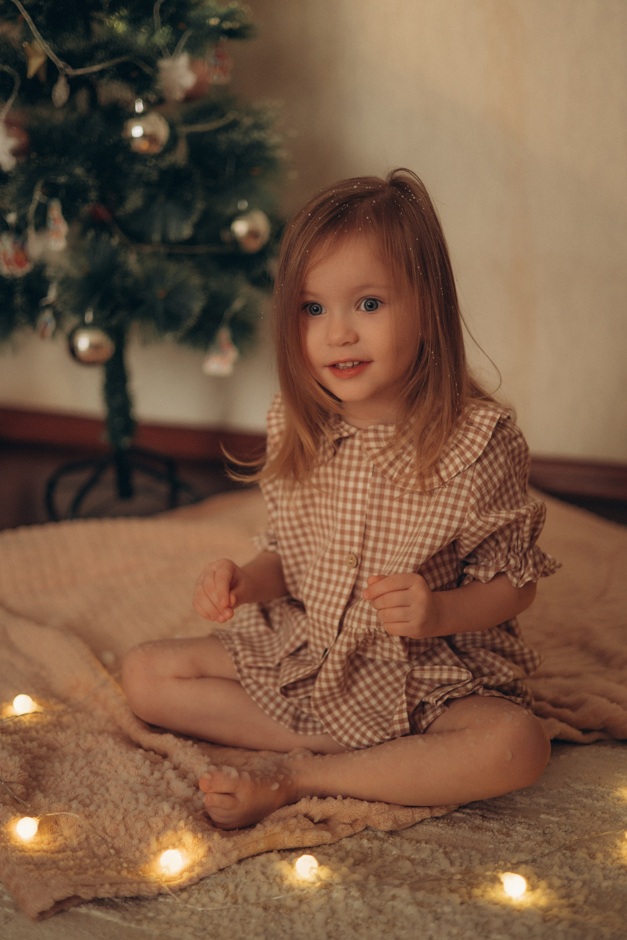 Домашняя история