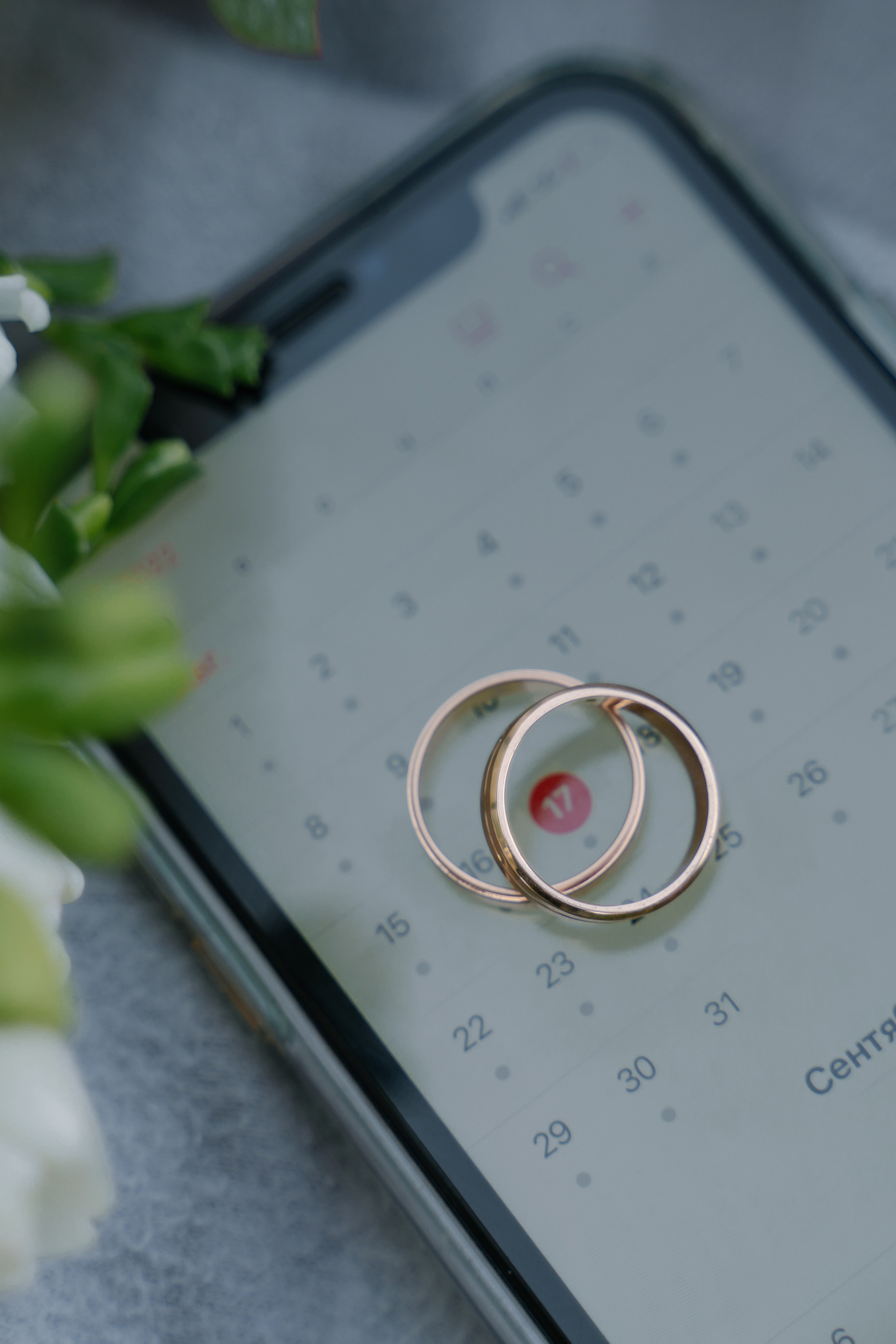 Портфолио свадебного фотографа Натальи ФЕДькиной в СПб и МСК в 2024. Свадебный фотограф — Наталья Фед СПб/Москва