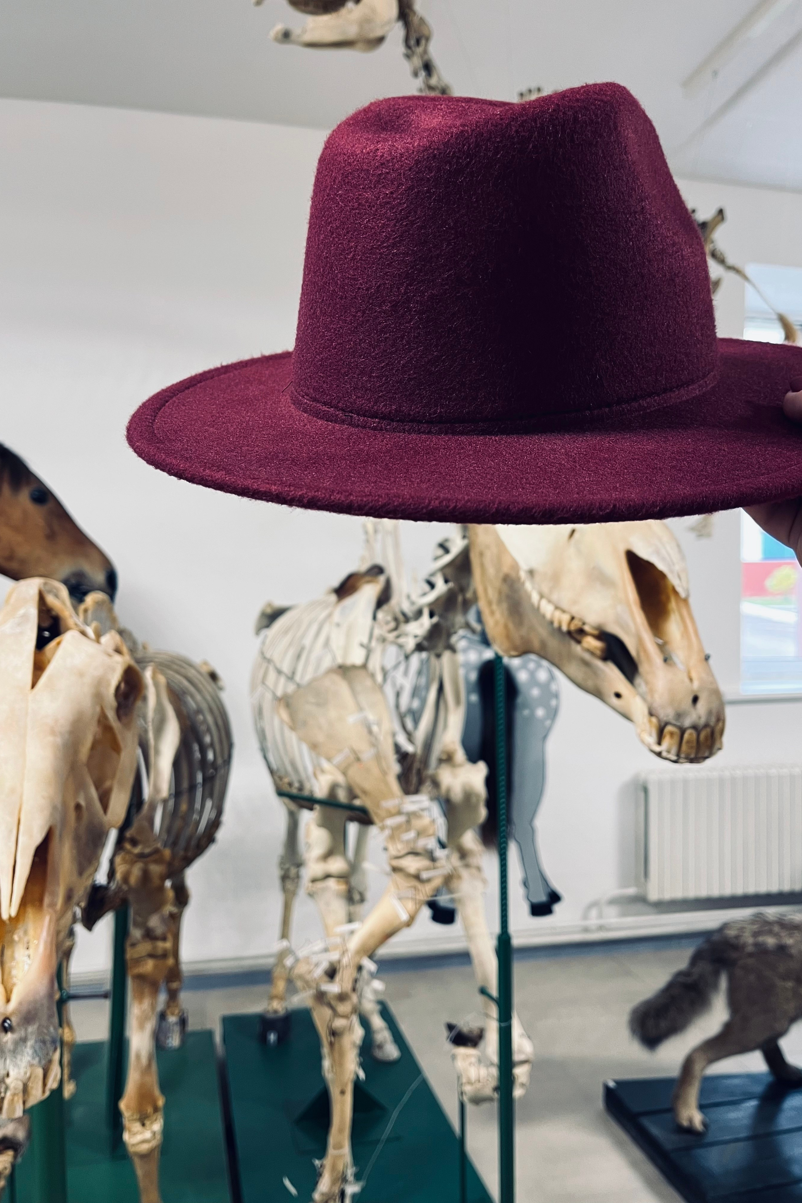 Мероприятия. МОТОШКОЛА в городе Витебске. Обучение категории А и А1