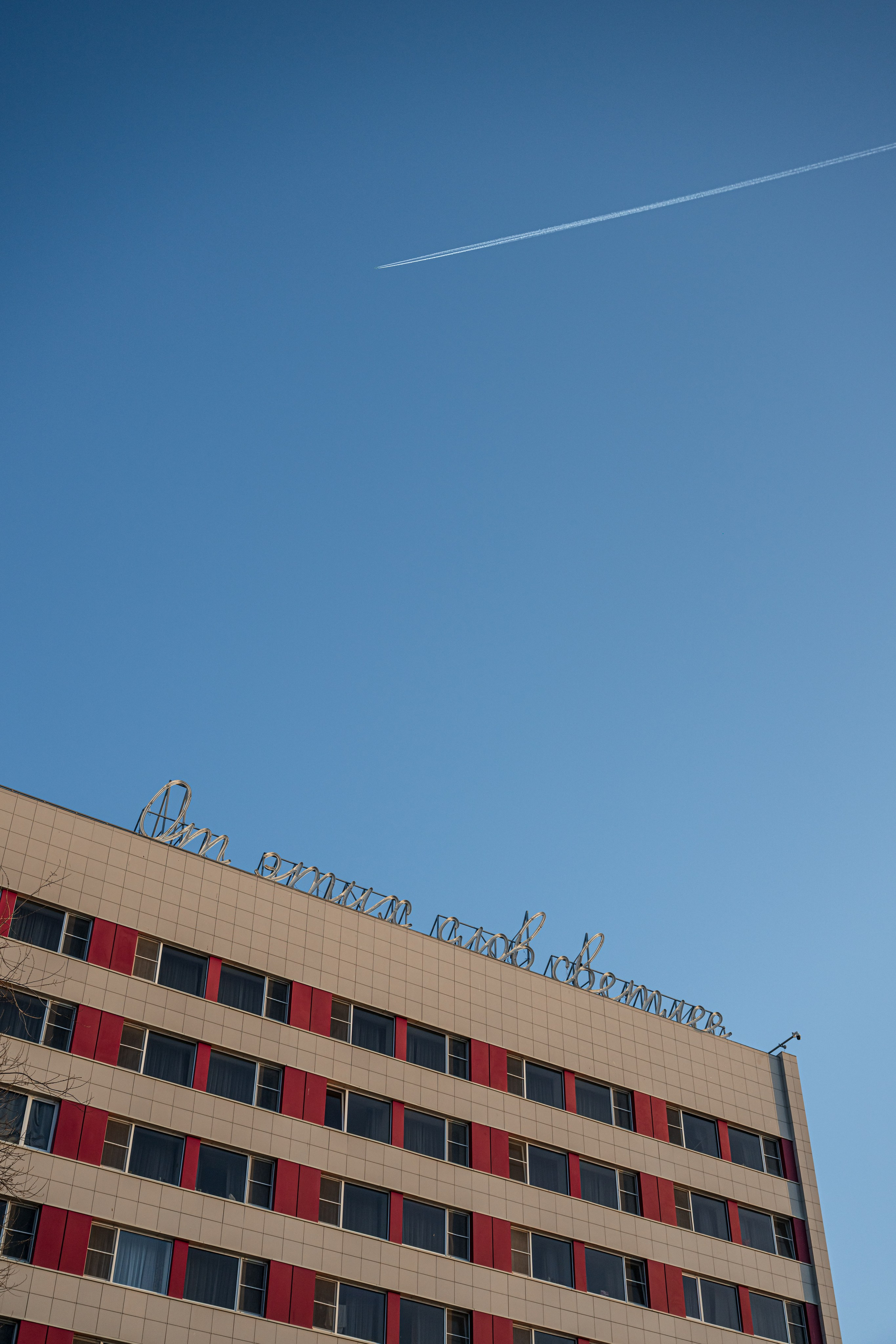 Анастасия Пронина — куратор, искусствовед, исследователь российского уличного искусства