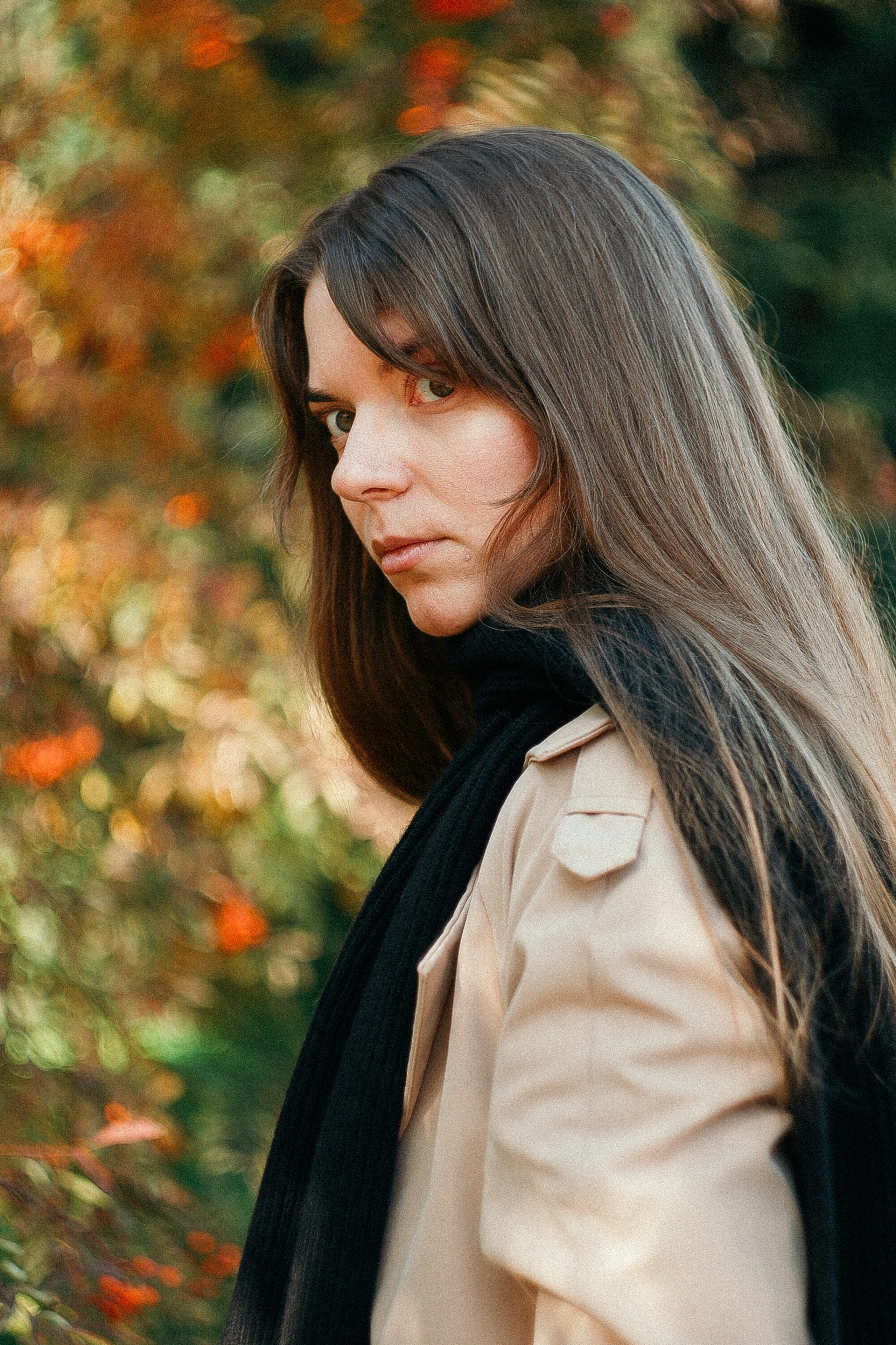 Дарья / Осеннее солнце