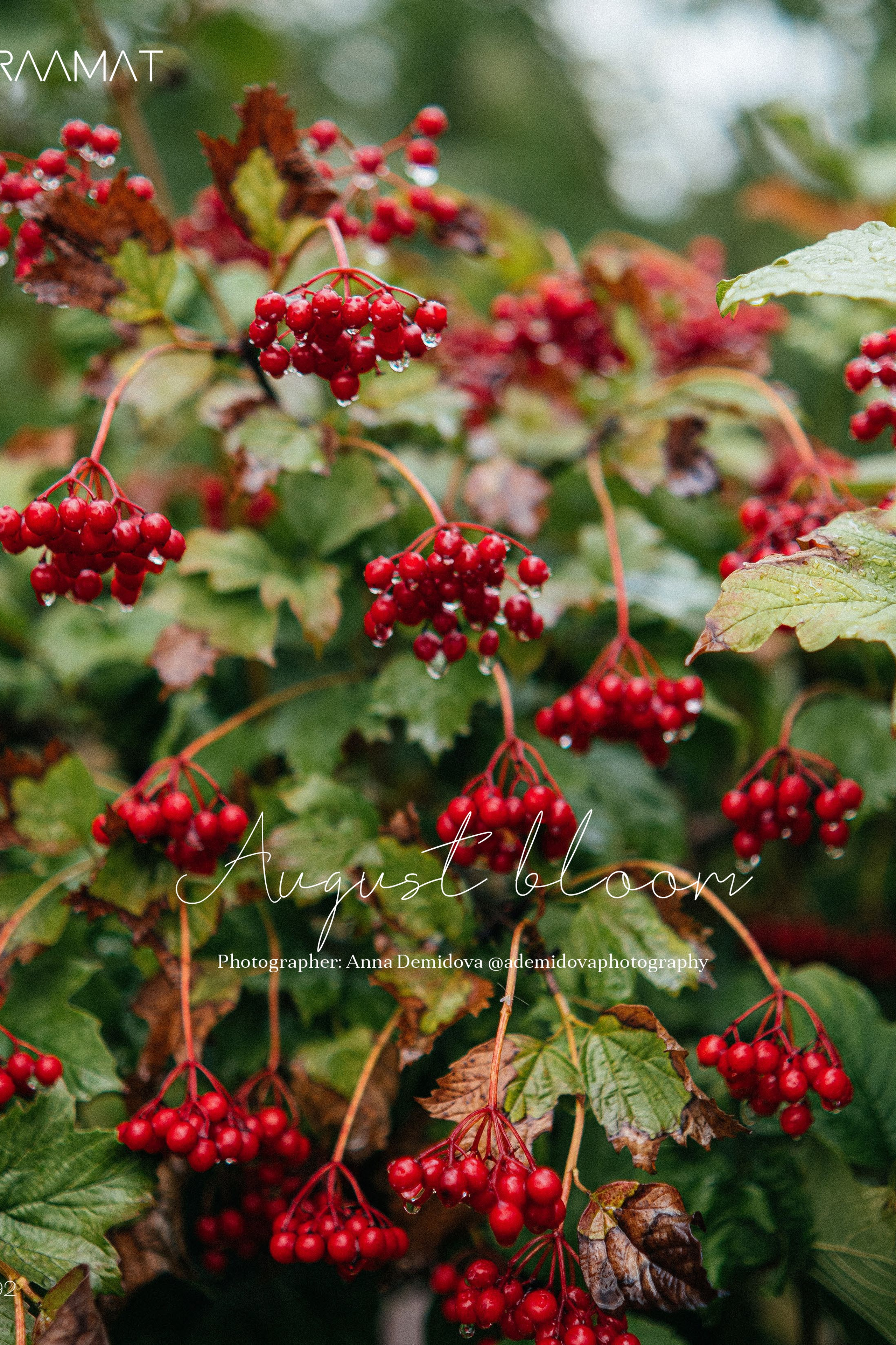 RAAMAT Magazine AUTUMN 2024