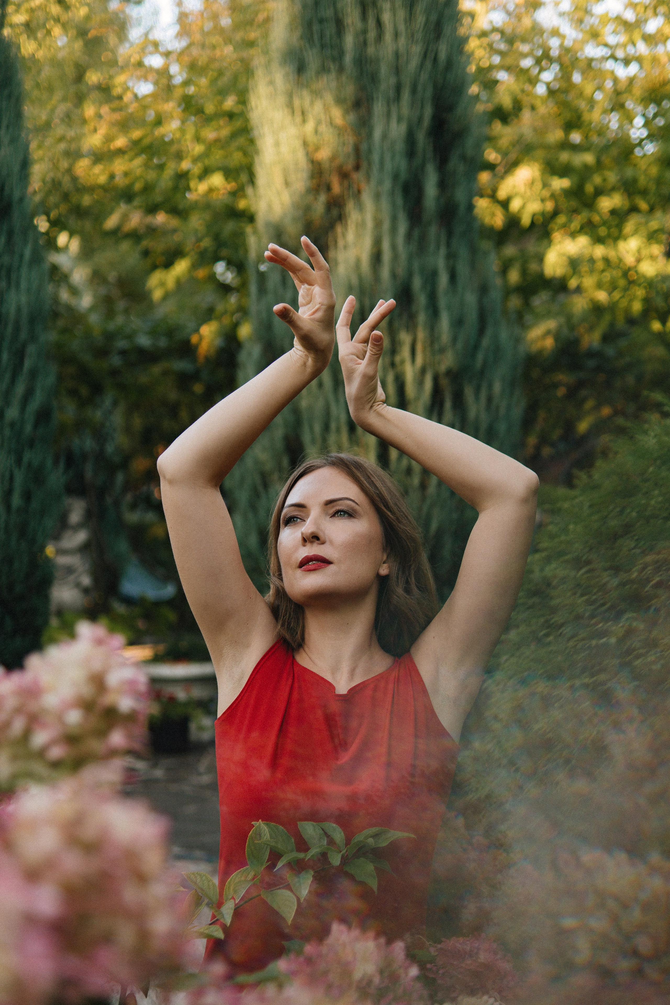 Елена / Сад Сновидений