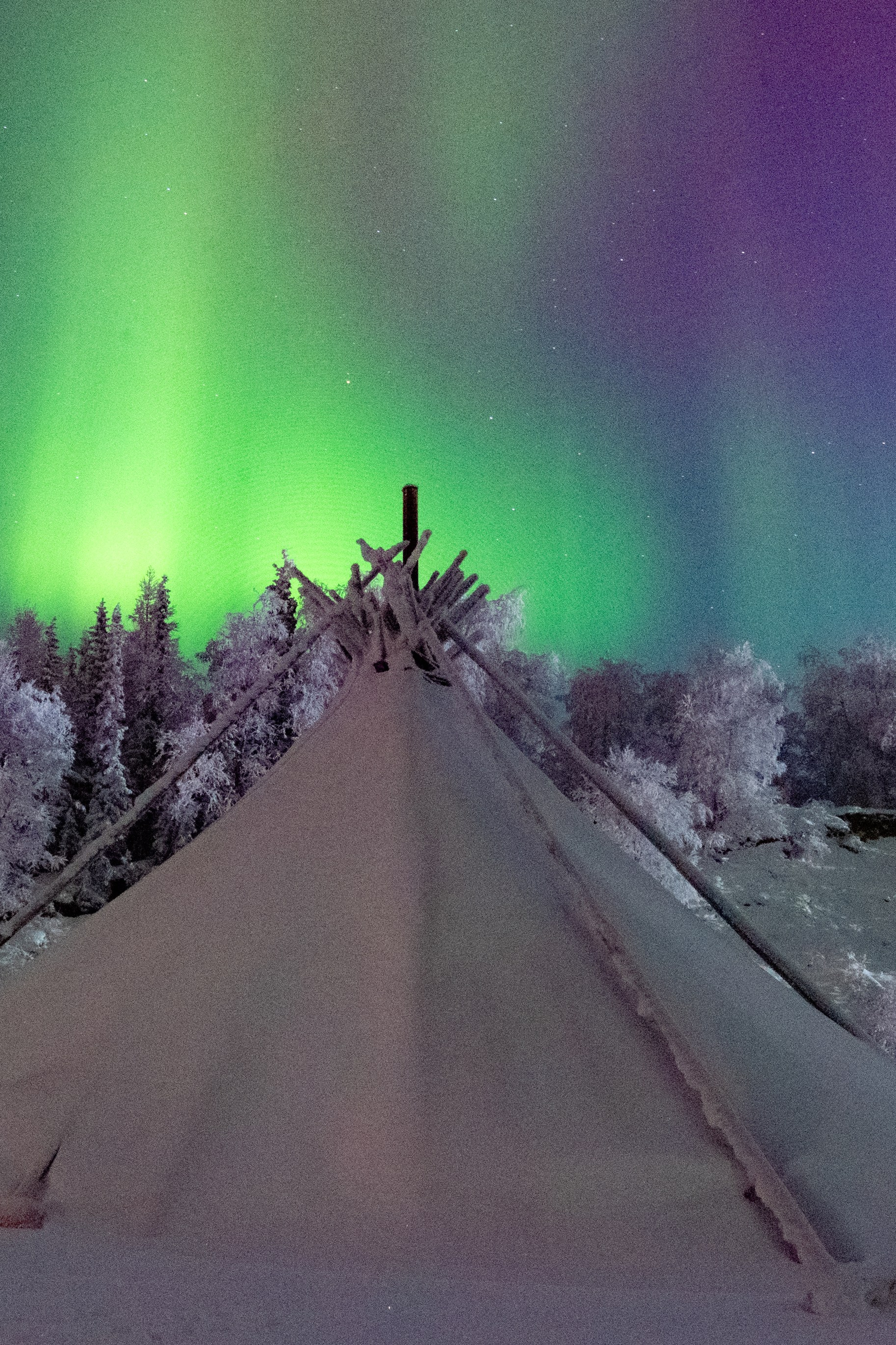Фотосессии, проведенные недавно. Семейный и детский фотограф в Санкт-Петербурге Татьяна Дмитренко