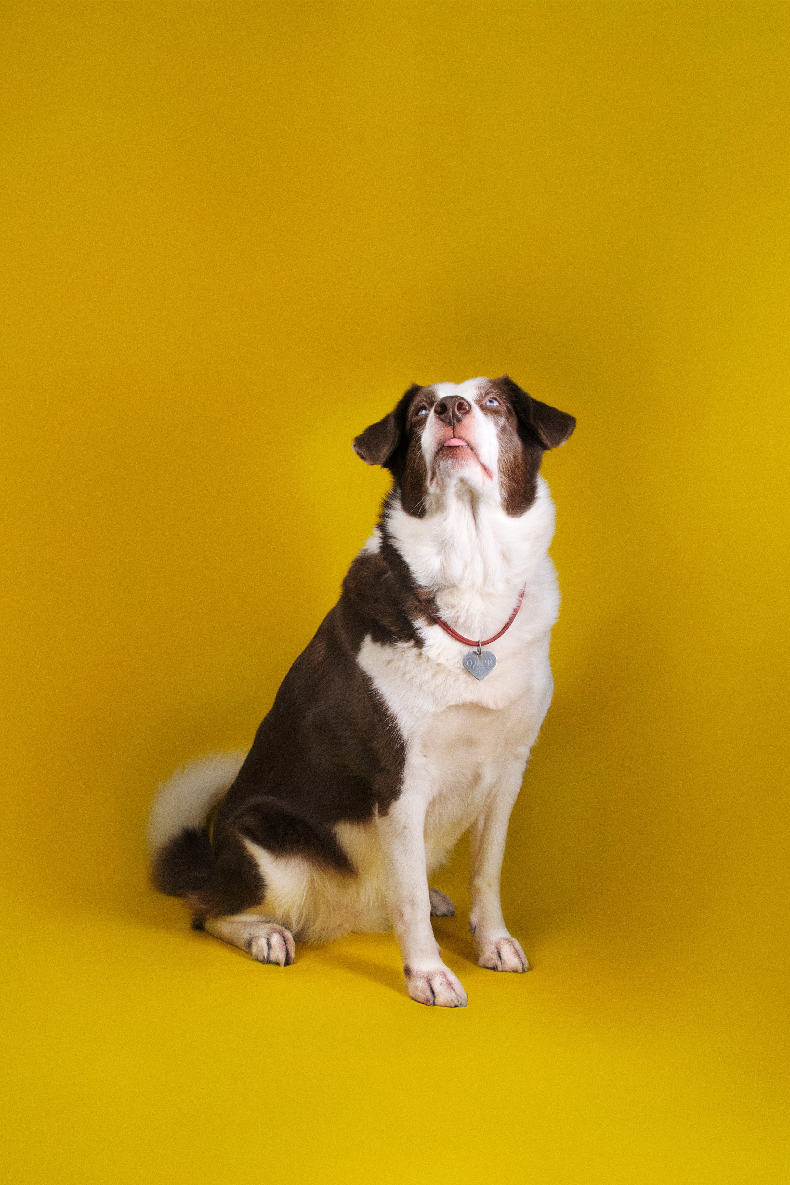 Предметная фотосъемка каталога. Предметный фотограф Дарья Штерн из Санкт-Петербурга