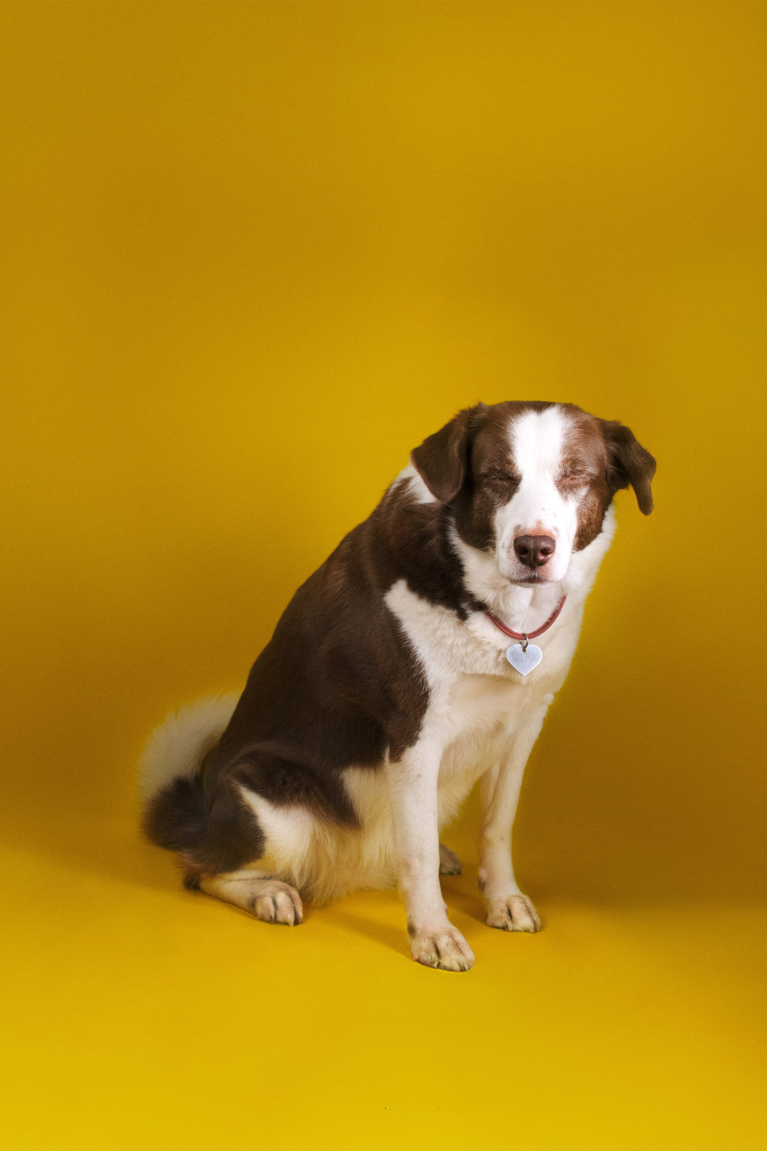 Предметная фотосъемка каталога. Предметный фотограф Дарья Штерн из Санкт-Петербурга