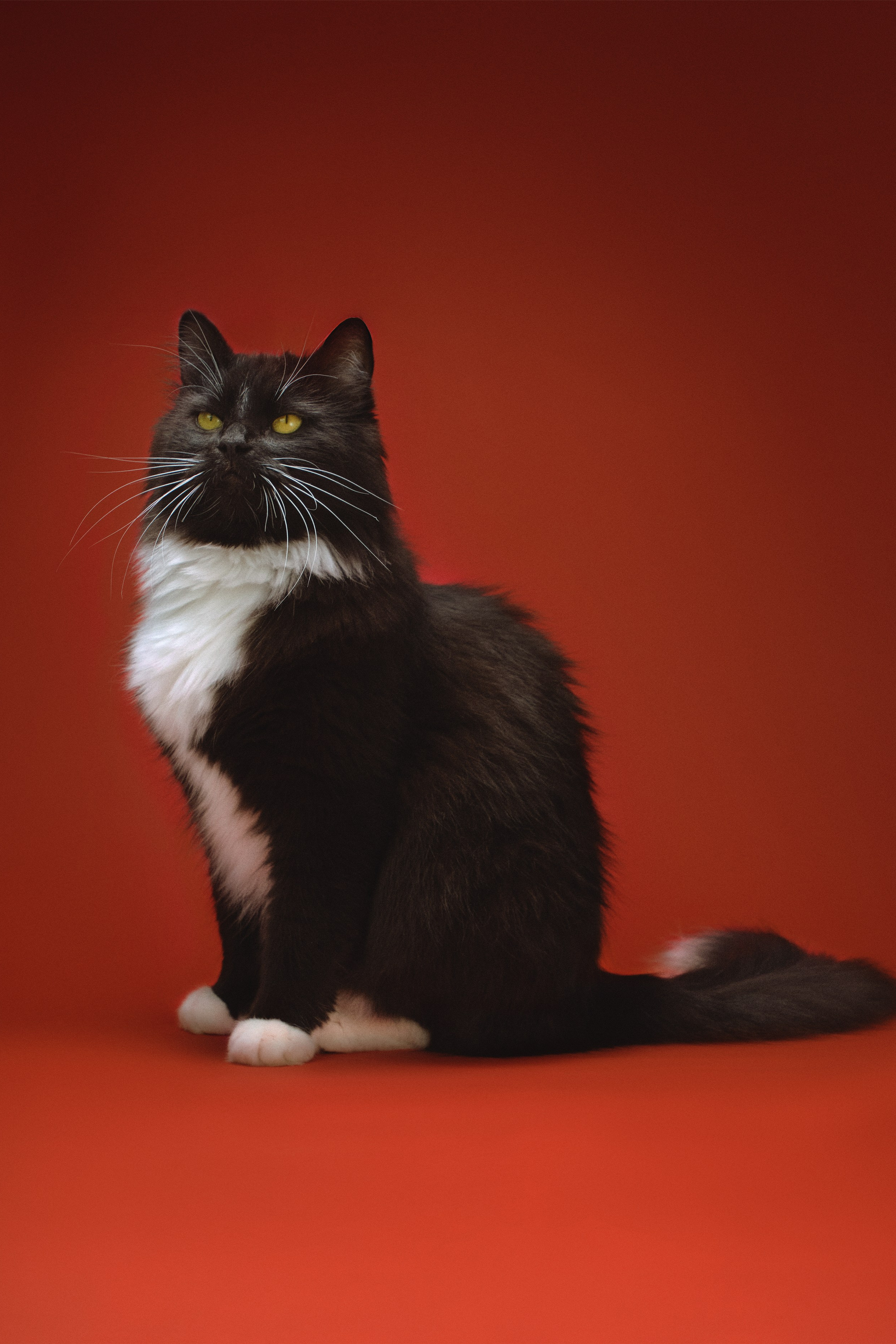 Предметная фотосъемка каталога. Предметный фотограф Дарья Штерн из Санкт-Петербурга