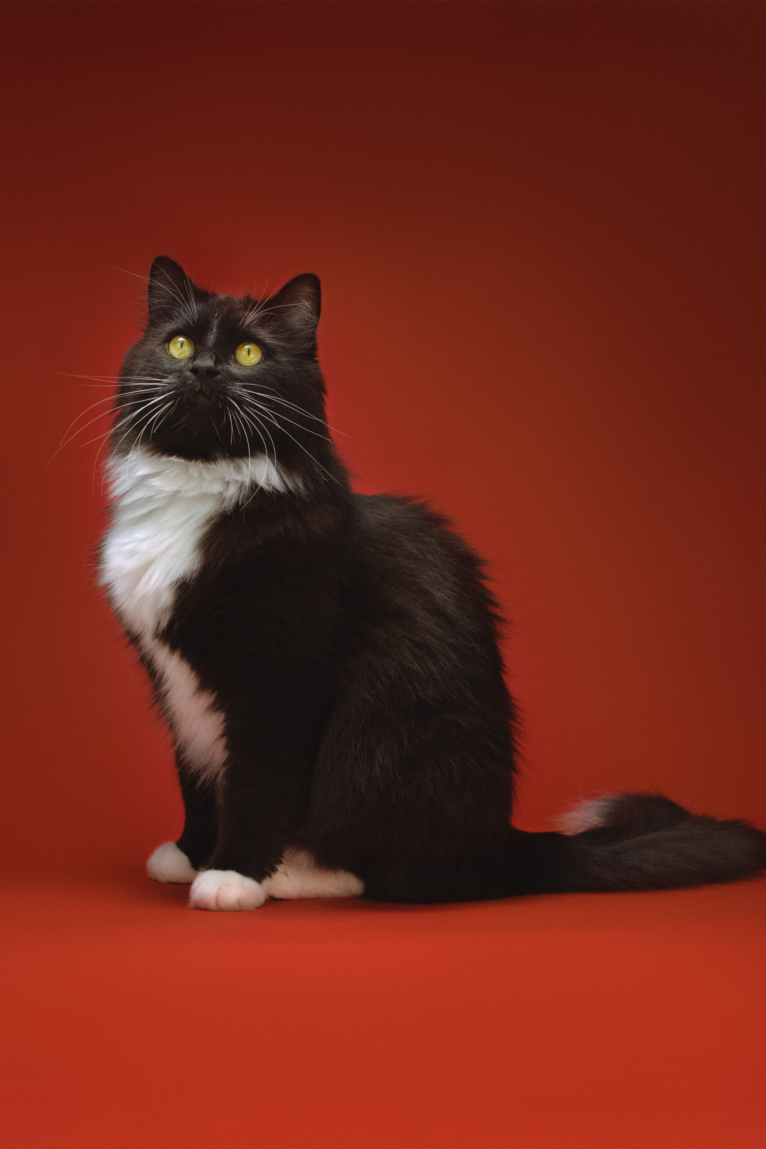 Предметная фотосъемка каталога. Предметный фотограф Дарья Штерн из Санкт-Петербурга