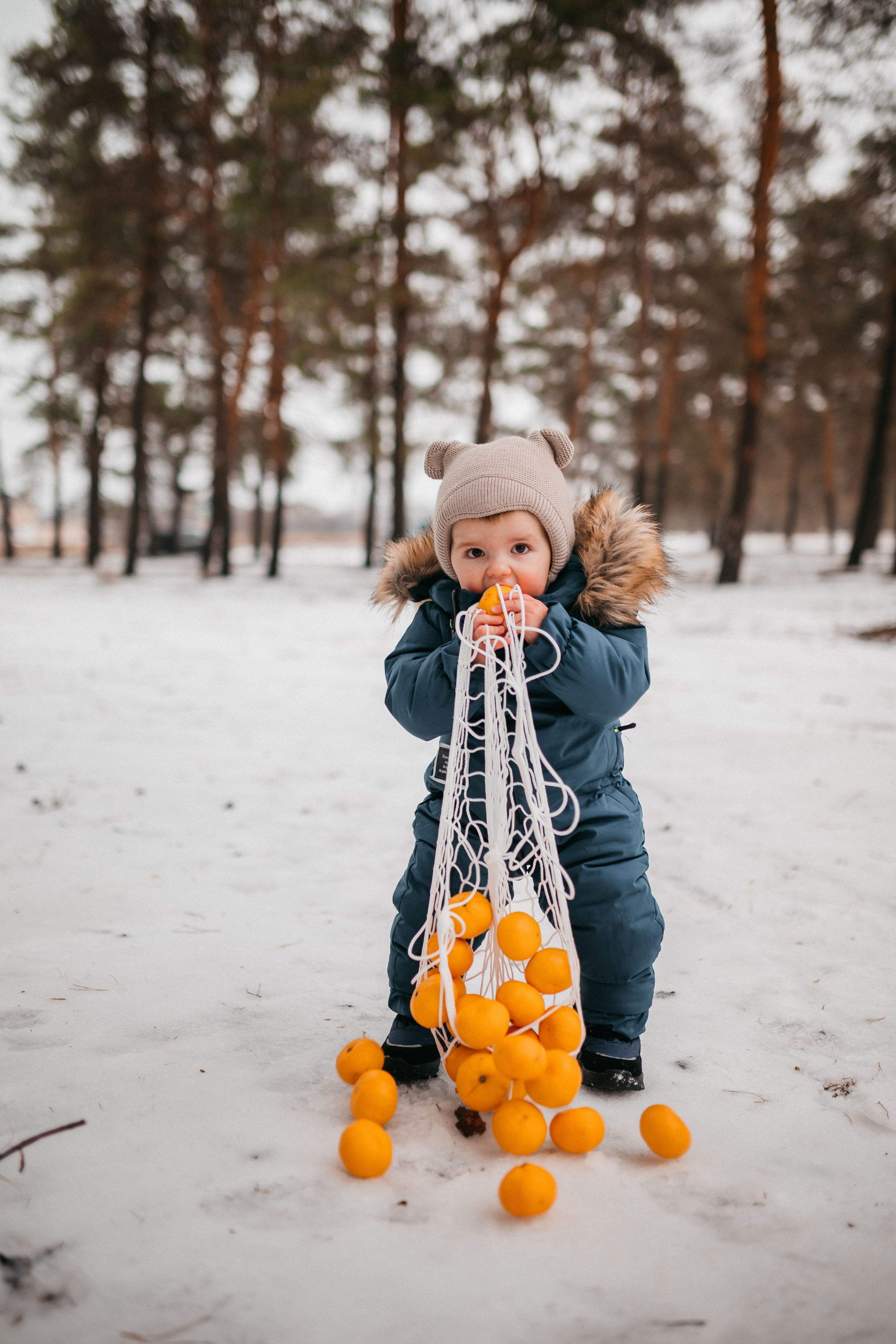 Лесная история