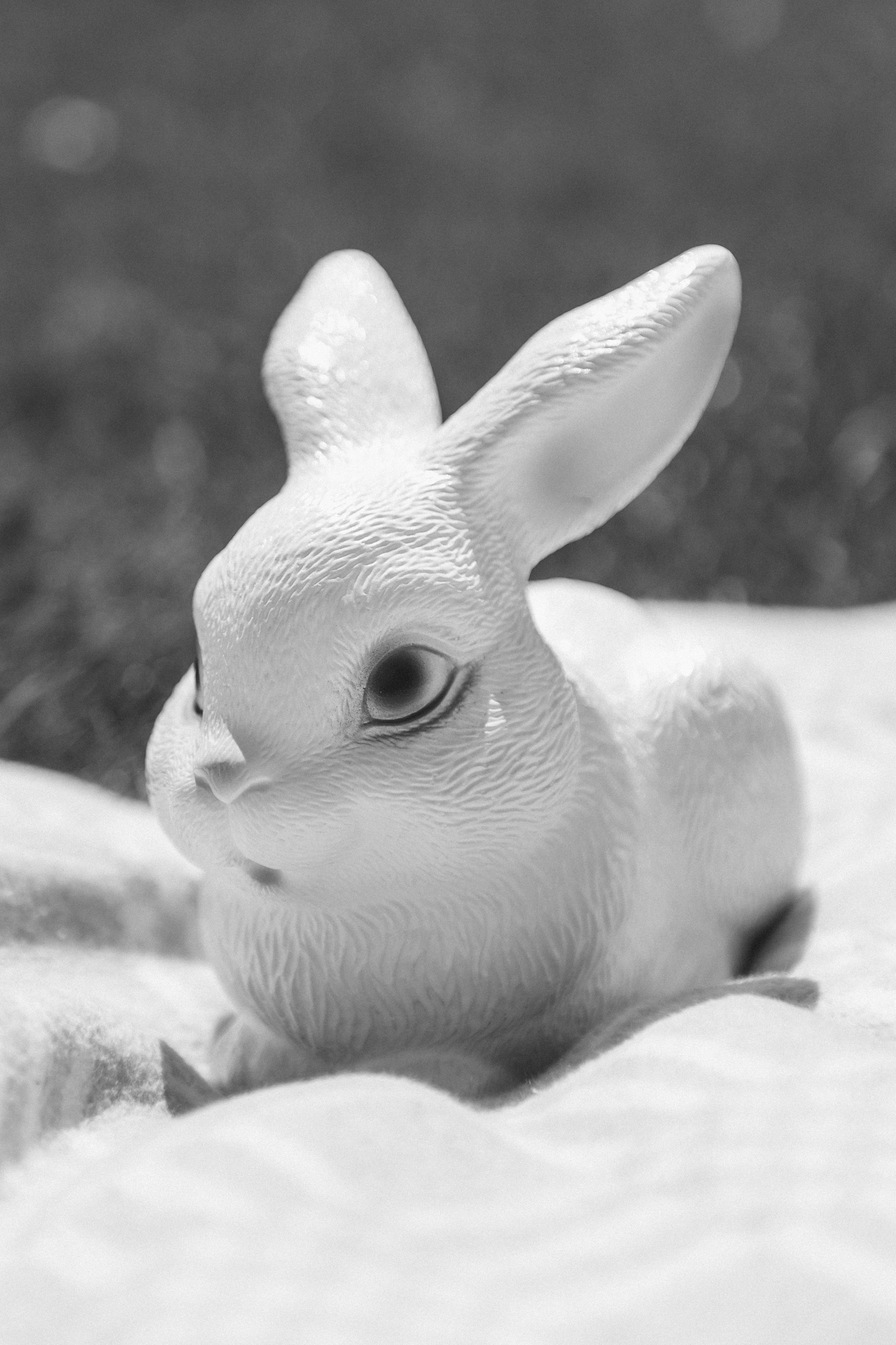 История одной копилки…