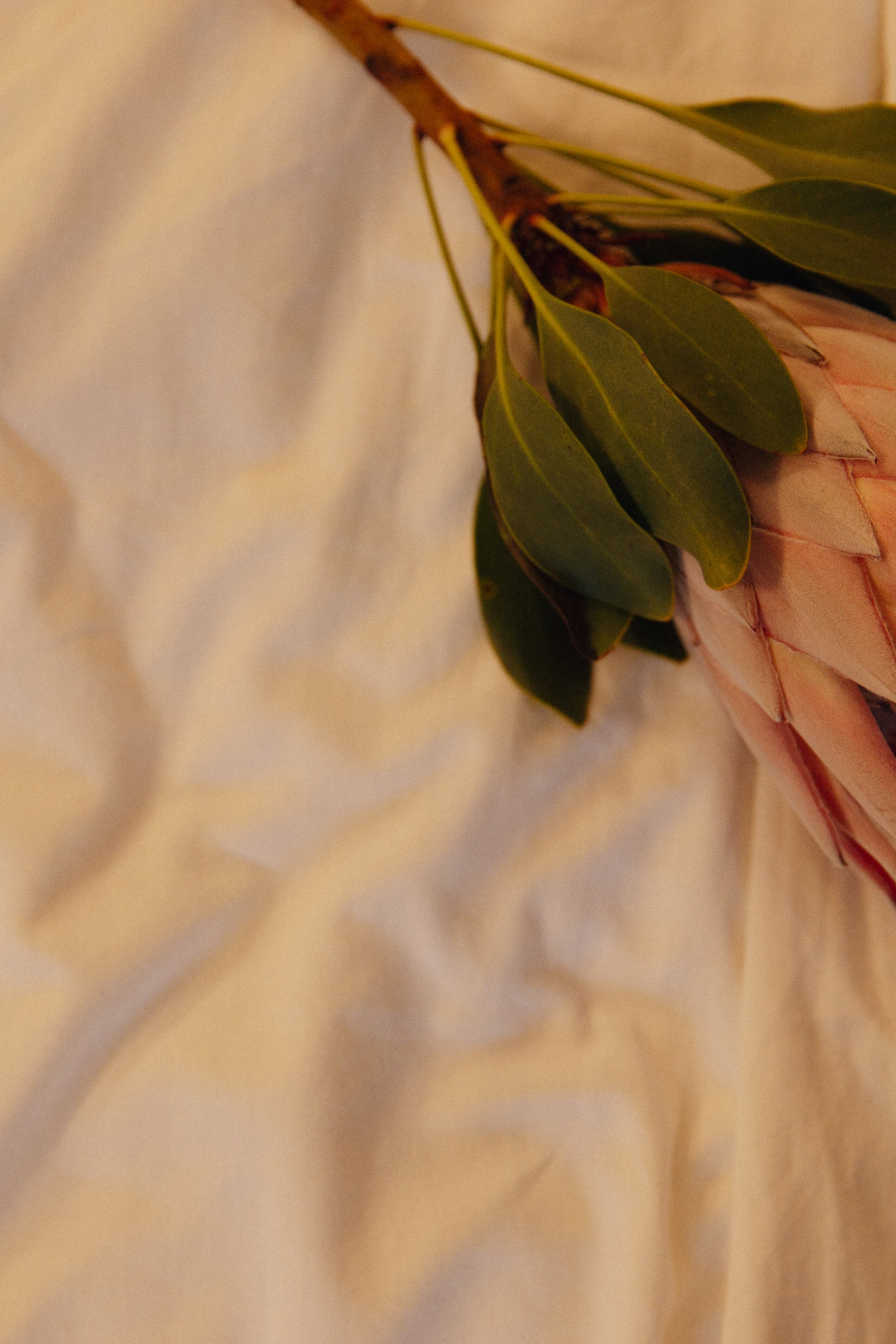 Истории. Свадебный фотограф Кузнецова Ольга Санкт-Петербург, Вологда, Череповец