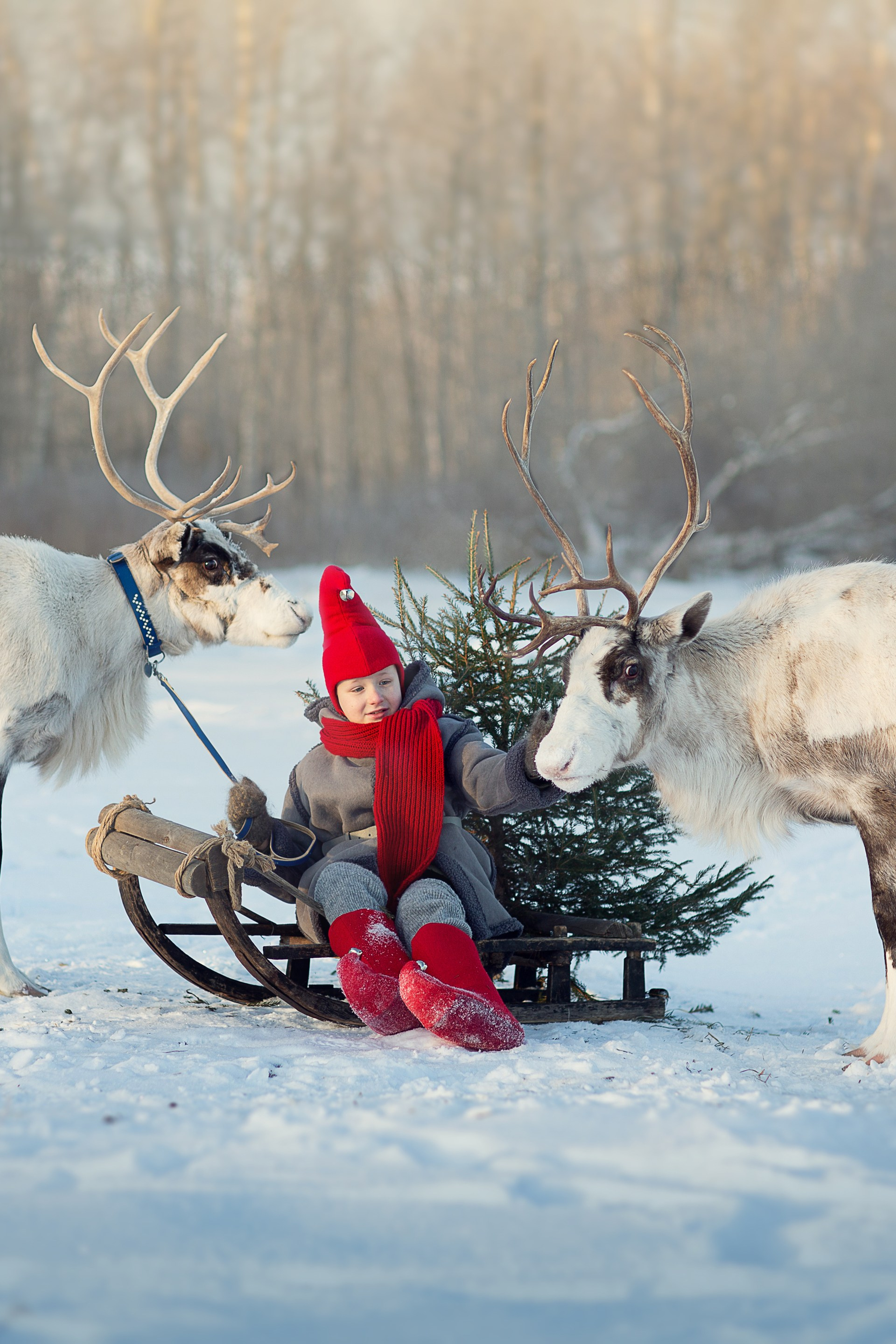 Новогодняя фотосессия. Фотограф в Рыбинске Мария Крикова