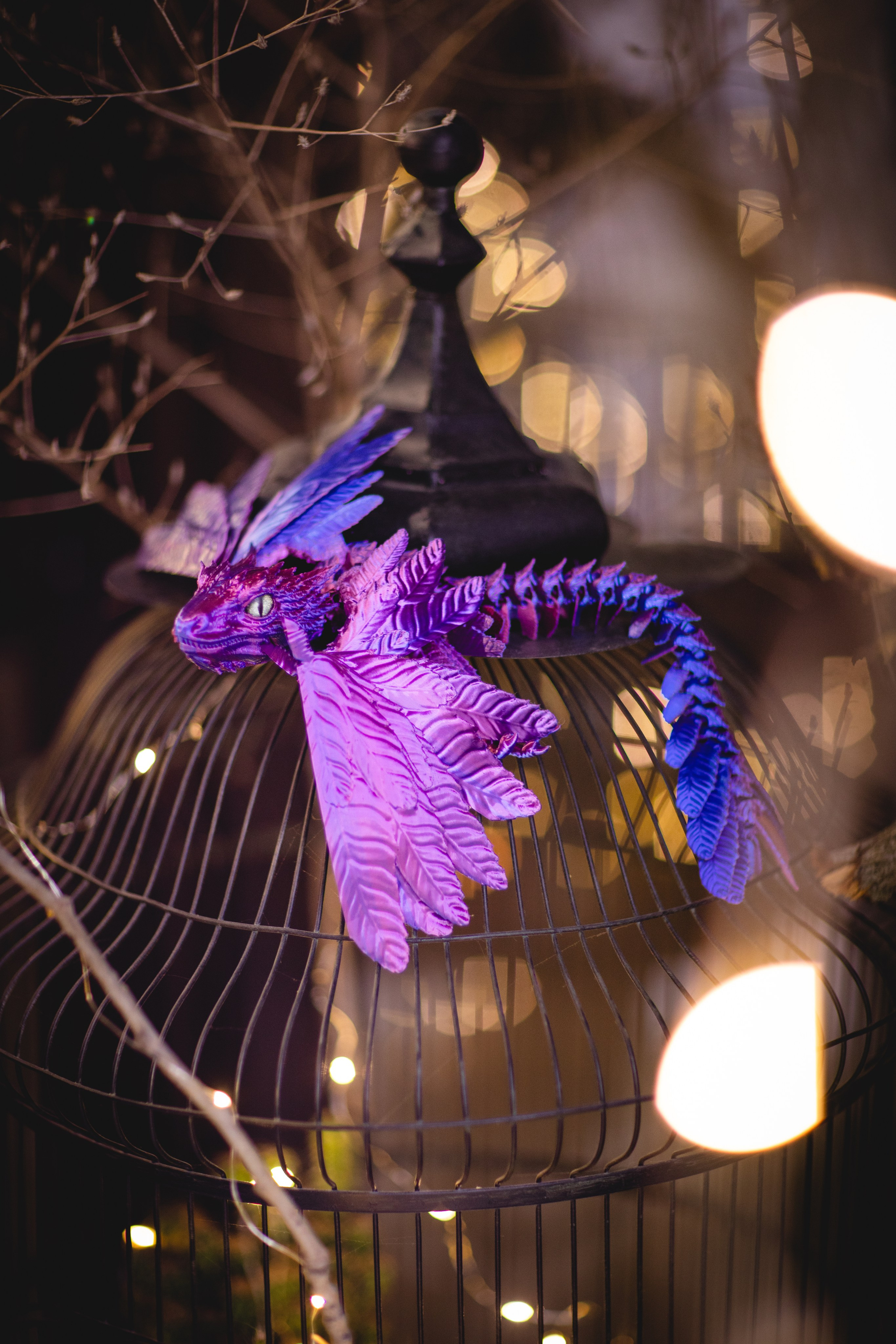 Истории. Семейный фотограф в Москве Анастасия Гурьянова