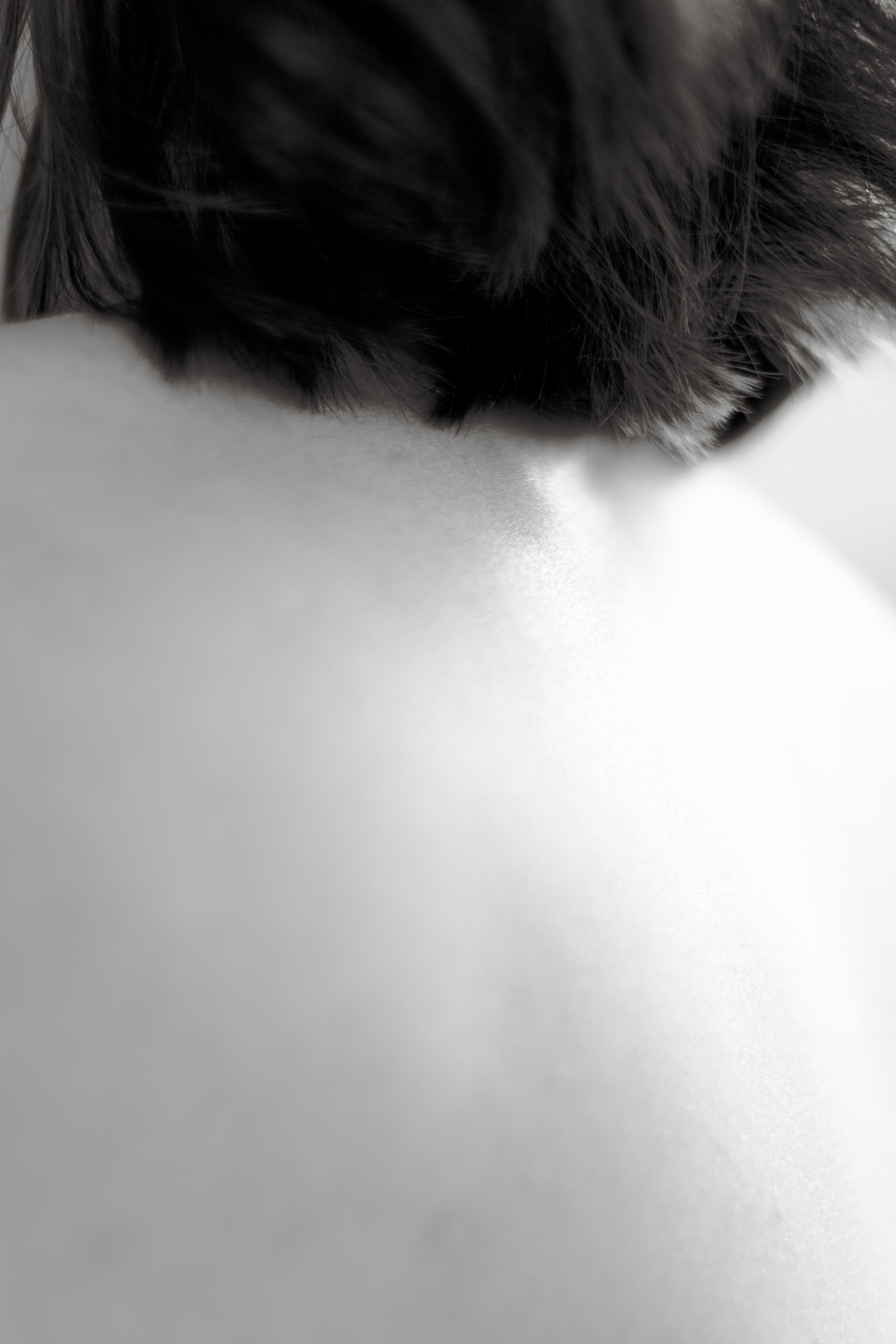 Маша. Фотограф в Санкт-Петербурге & КМВ Боровская Анна