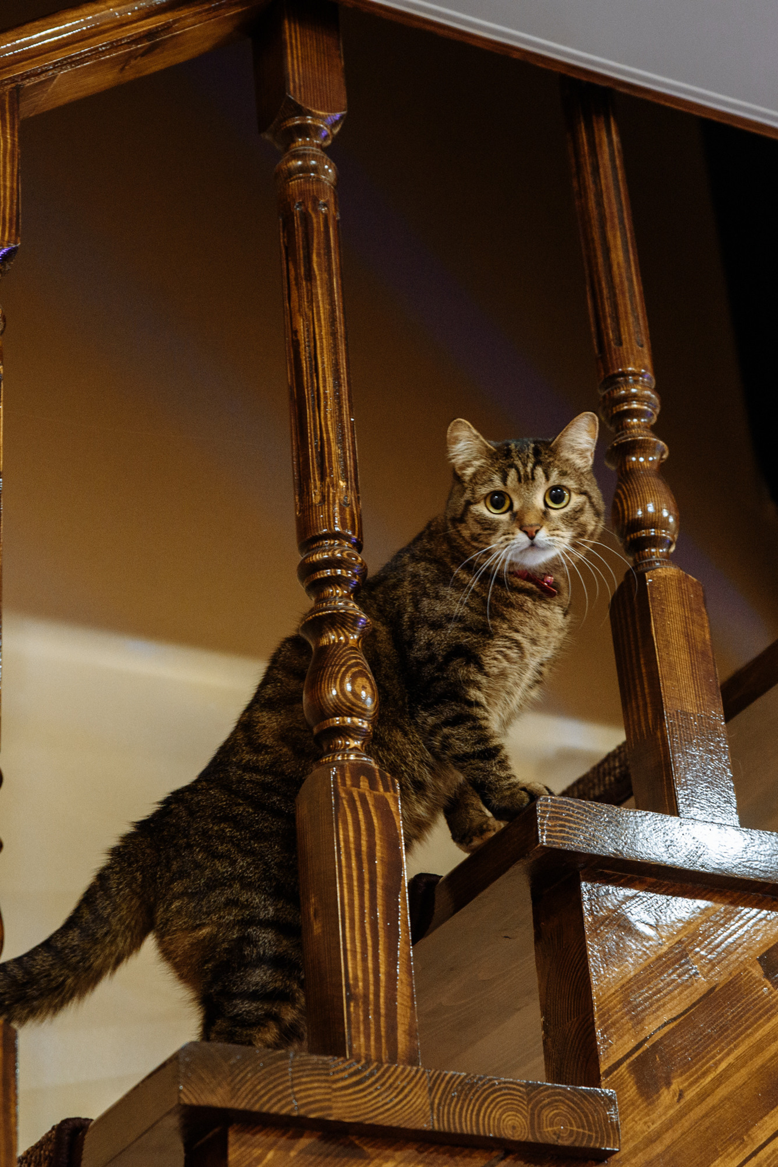 Отзывы. Портретный фотограф Москва, репортаж и естественная постановка