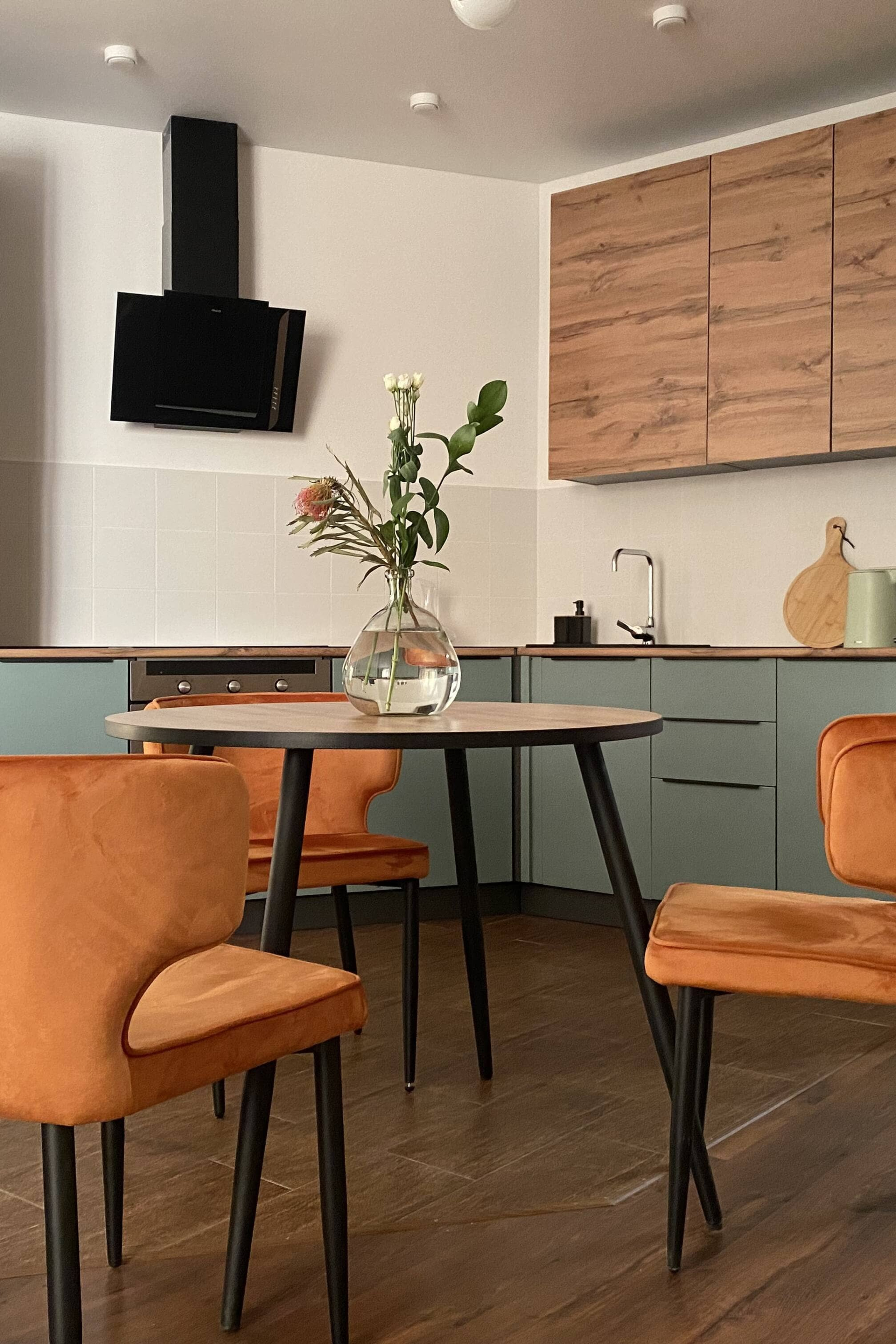 Проект № 1123