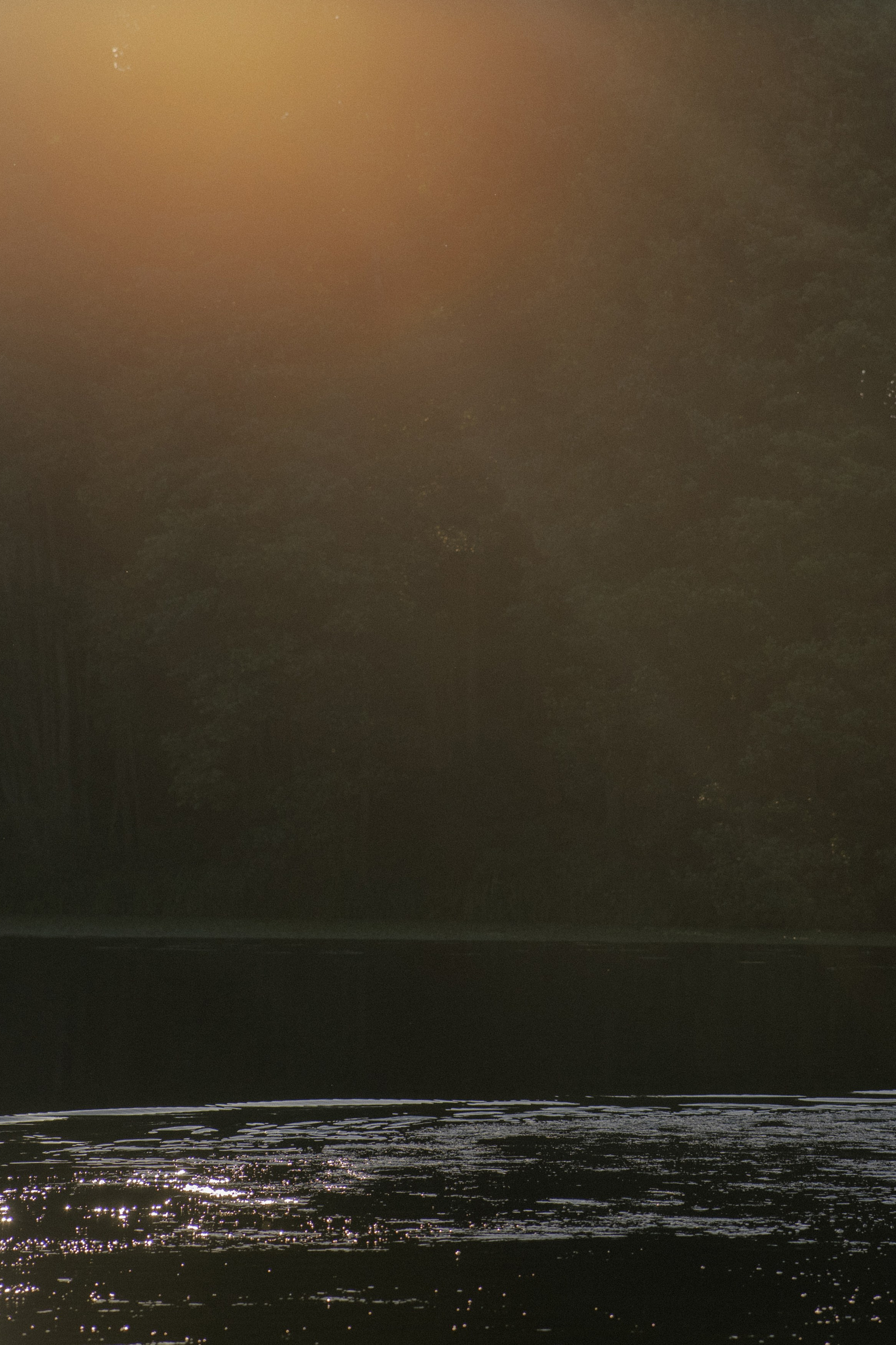 …и мы с тобой влюблены