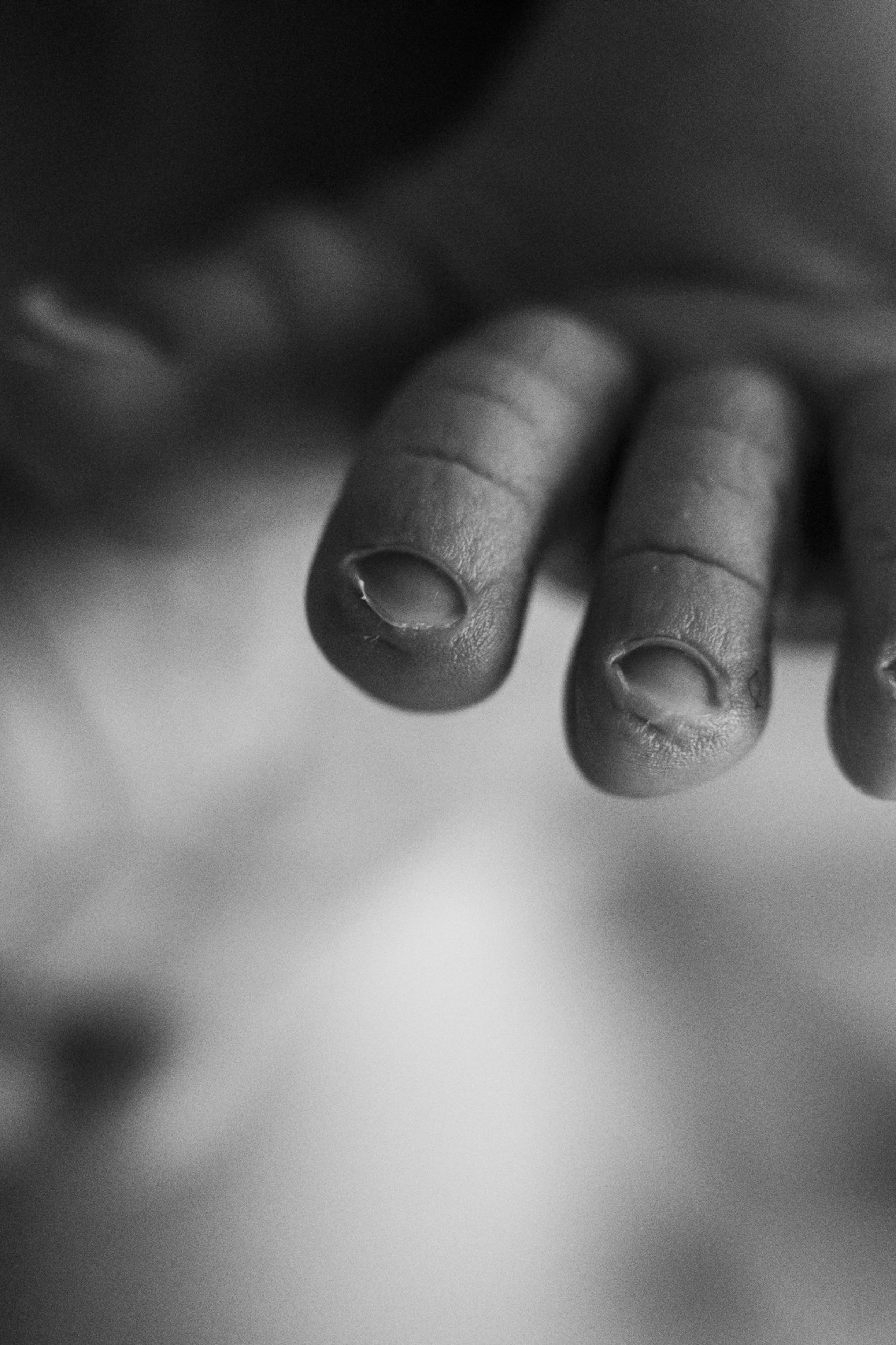 Рождение Медины