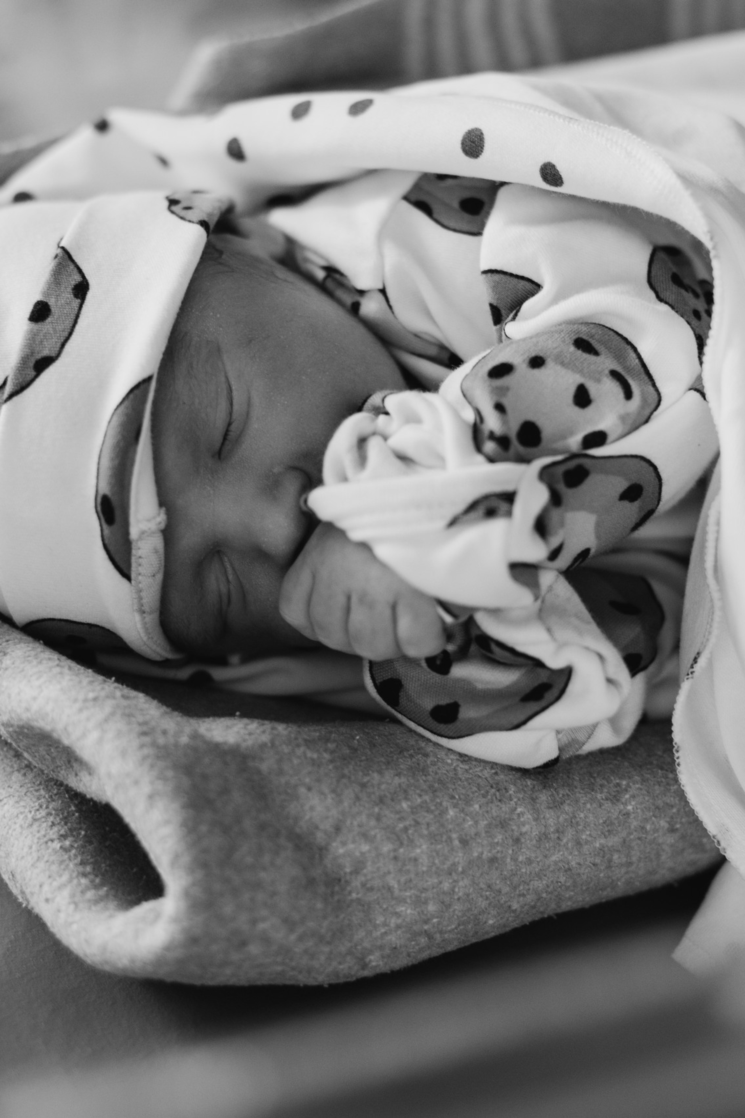 Рождение Льва