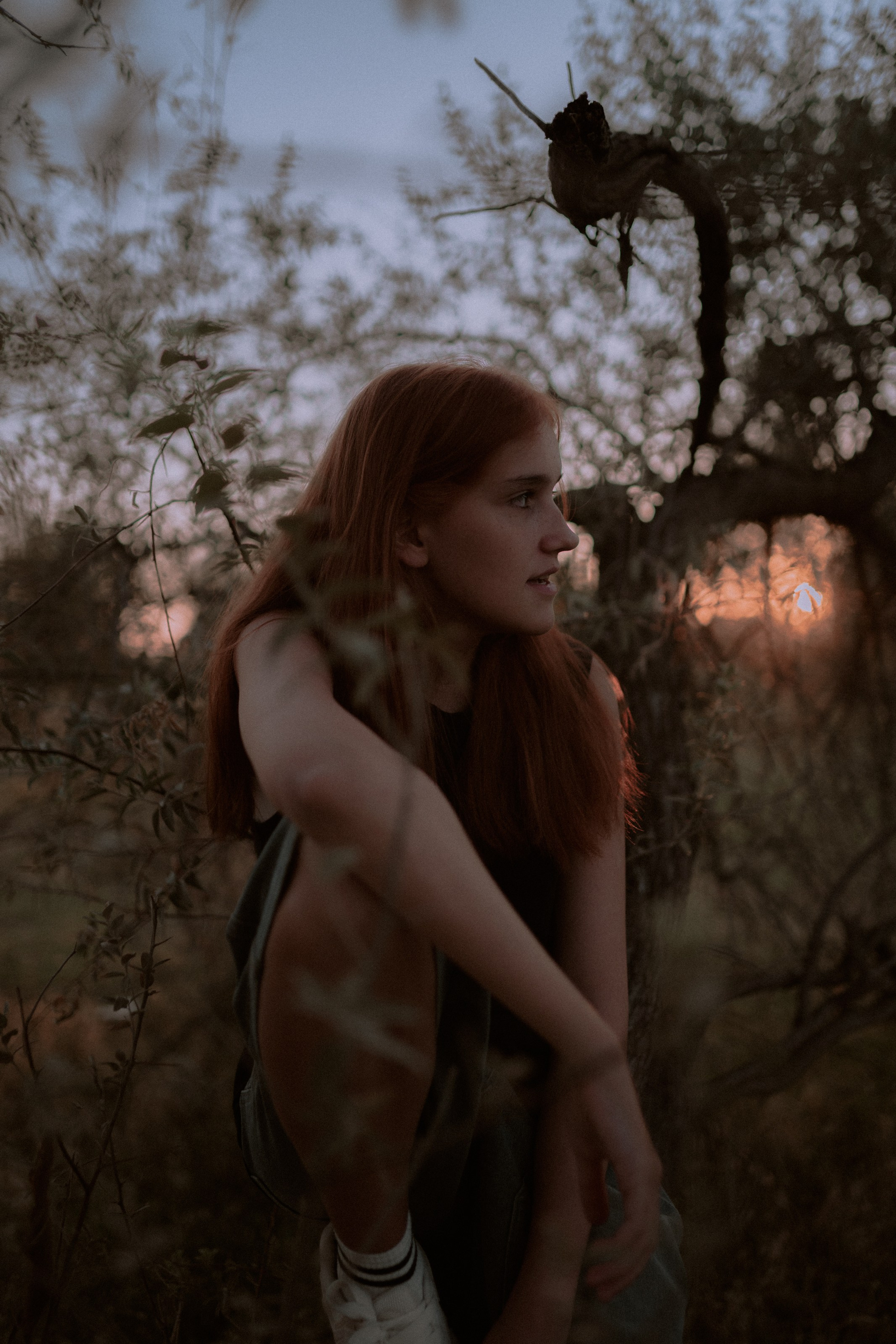 Twilight