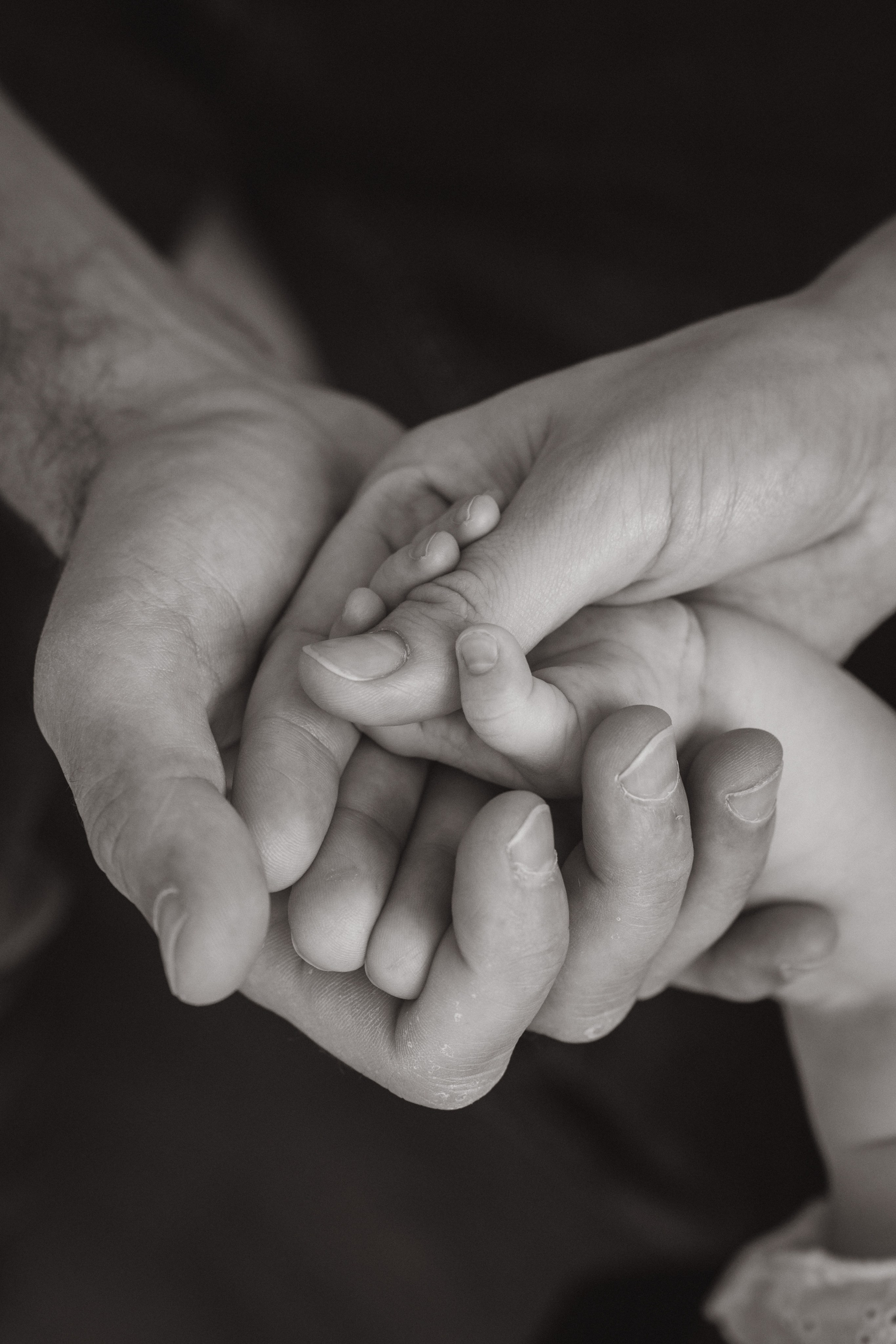 Алексей, Елена, Алиса и&nbsp;Марк